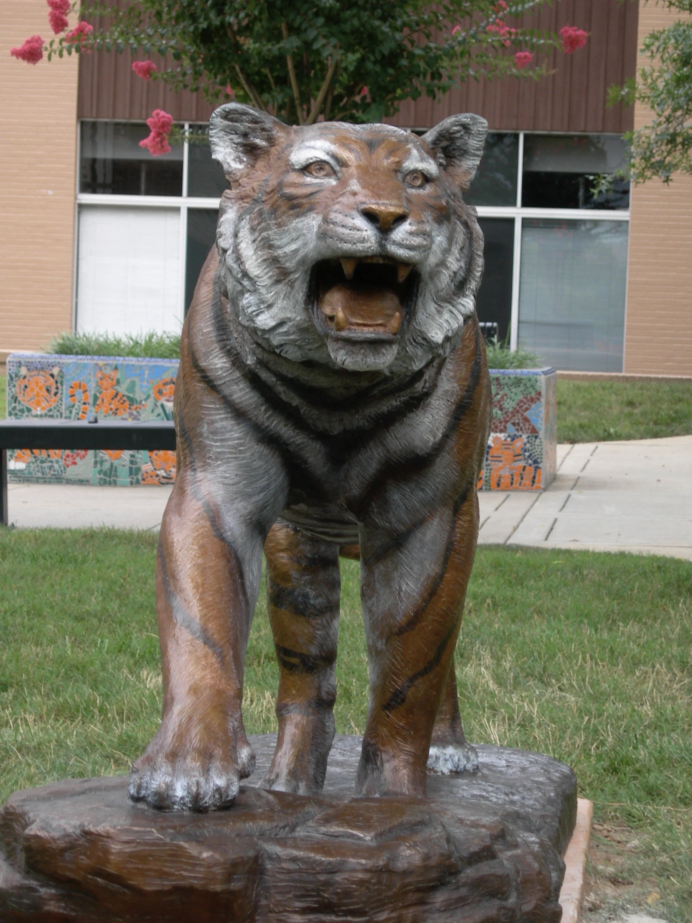 DSCN2432.JPG