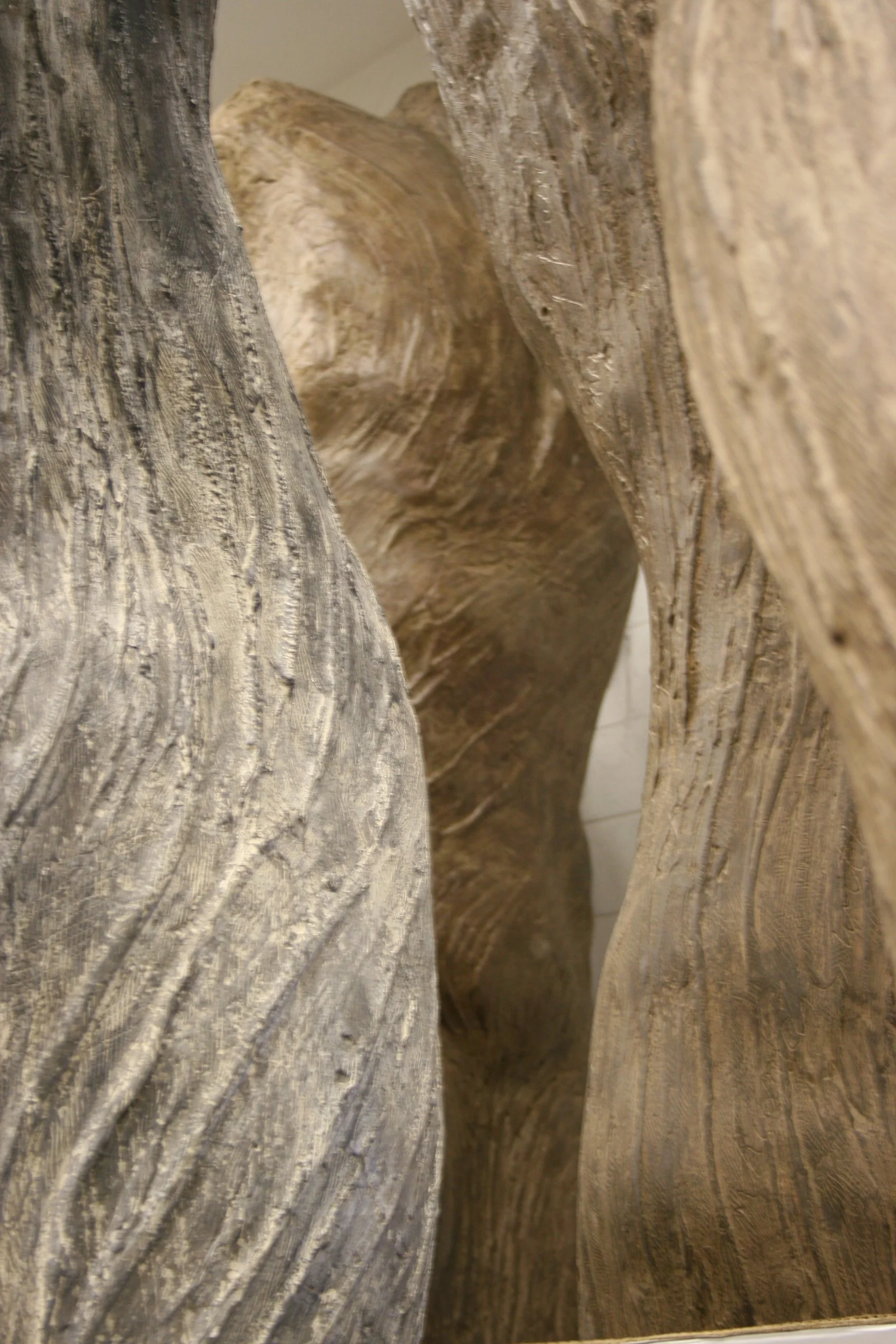 Close-up view of several textured tree trunks with various shades of gray and brown.