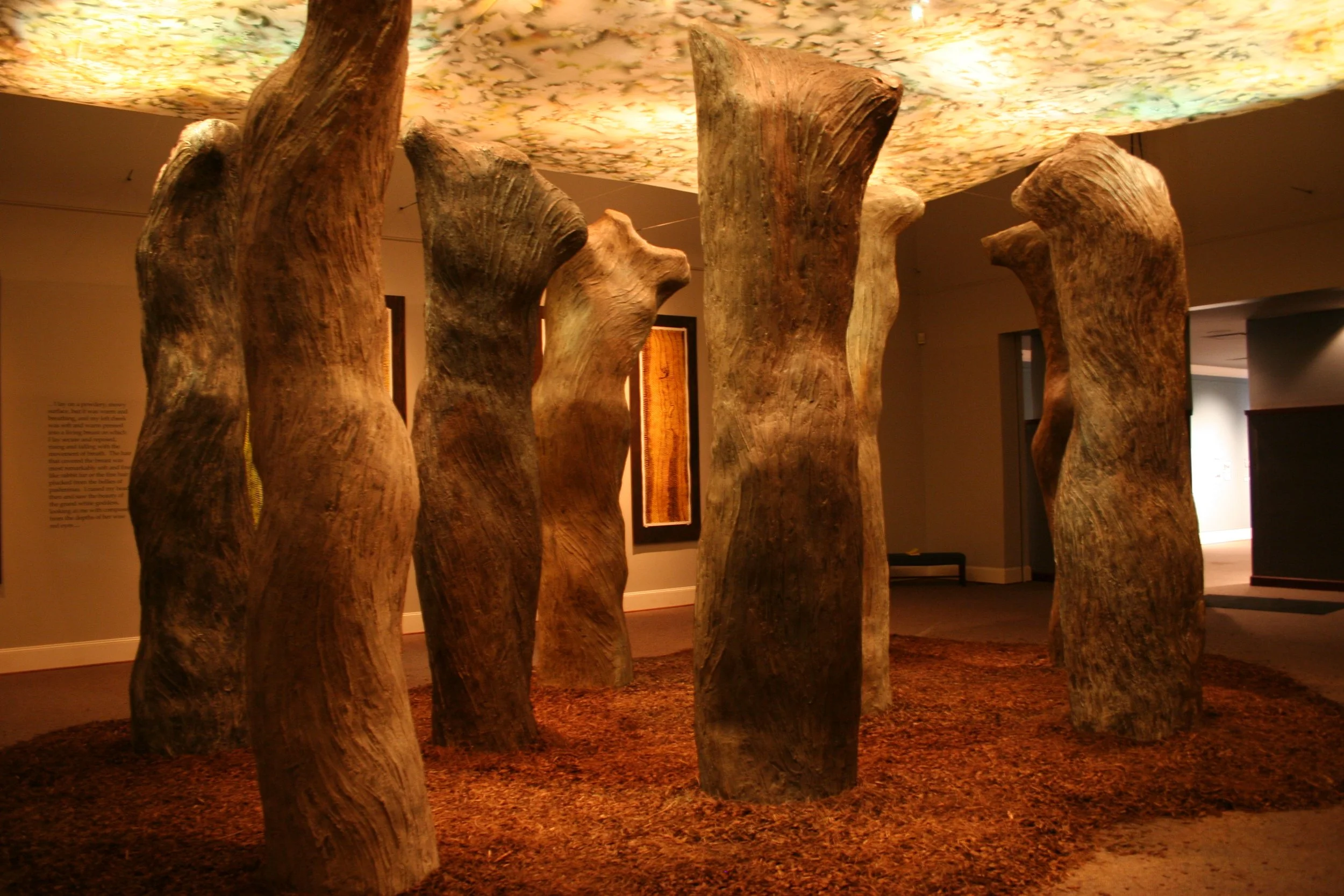 Sculptural art installation of tree trunks with a textured, illuminated ceiling resembling leaves or foliage. Dream Forest Installation. 