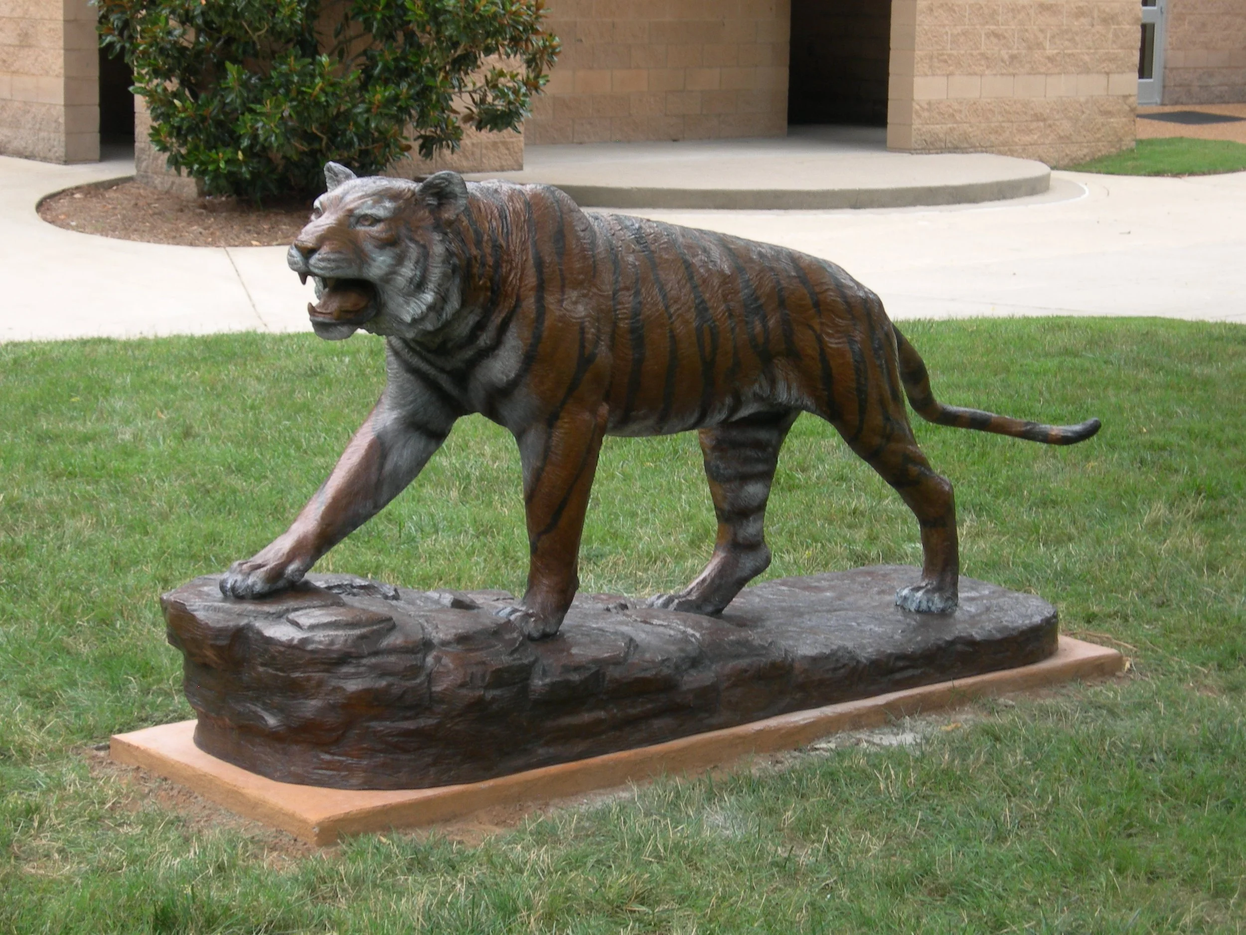 A realistic tiger statue with orange and black stripes, positioned on a wooden base in a grassy area near a building. The tiger has its mouth open, showing its teeth and fangs, giving a roaring appearance.
