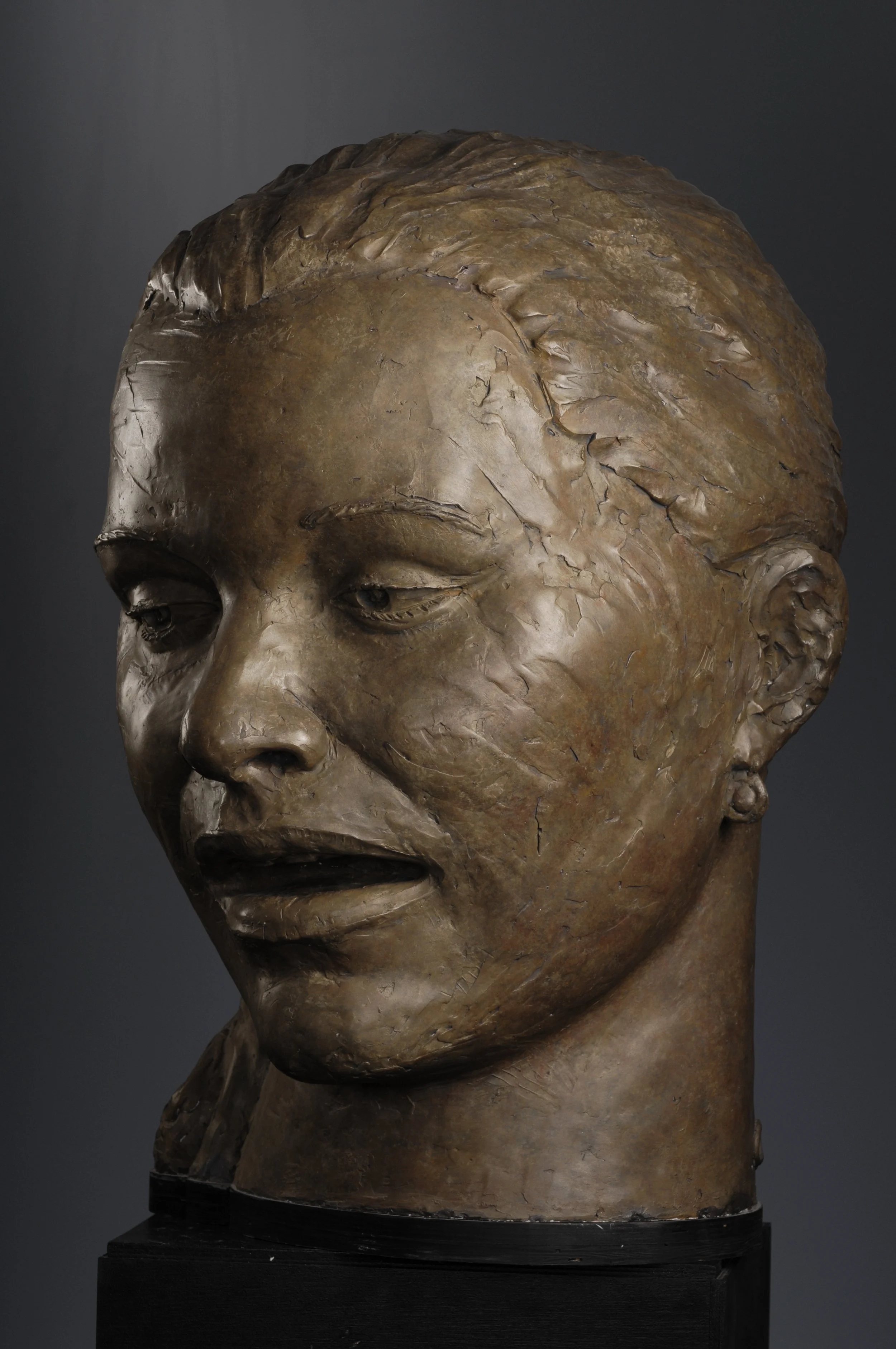 Close-up of a bronze bust sculpture of a woman, showing her head and shoulders, with detailed facial features and textured hair.  Cultural Heroes
