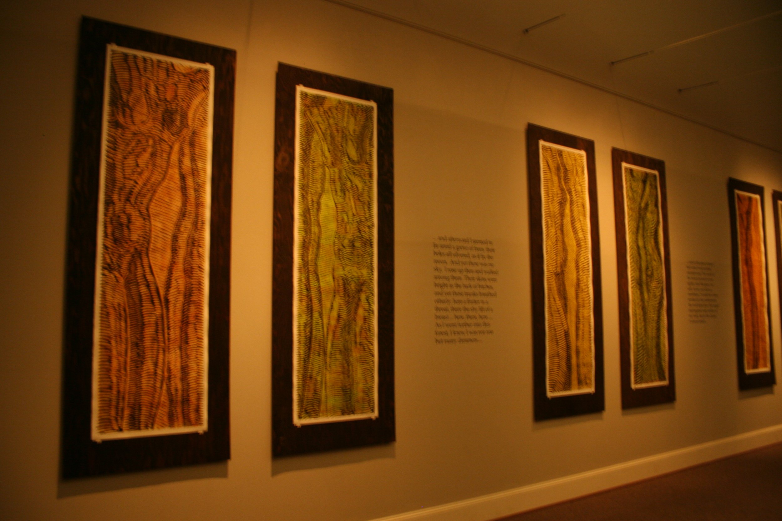 Photo of artwork or exhibits in a museum gallery, featuring framed pieces with intricate patterns, displayed on a beige wall with descriptive text. Dream Forest Wood Block Prints.