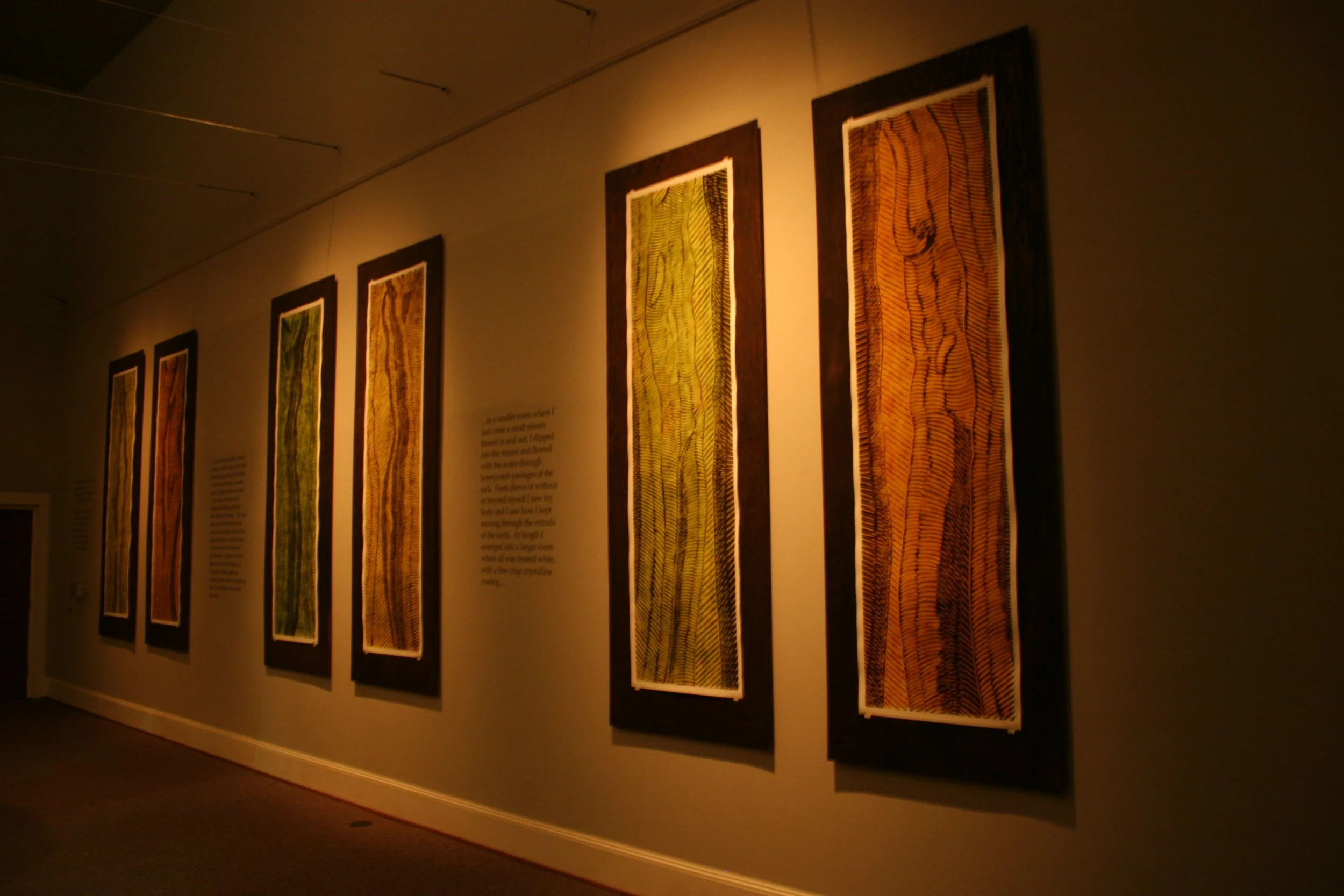 Art gallery wall displaying framed paintings or textiles with intricate patterns illuminated by warm lighting. Dream Forest Wood Block Prints.