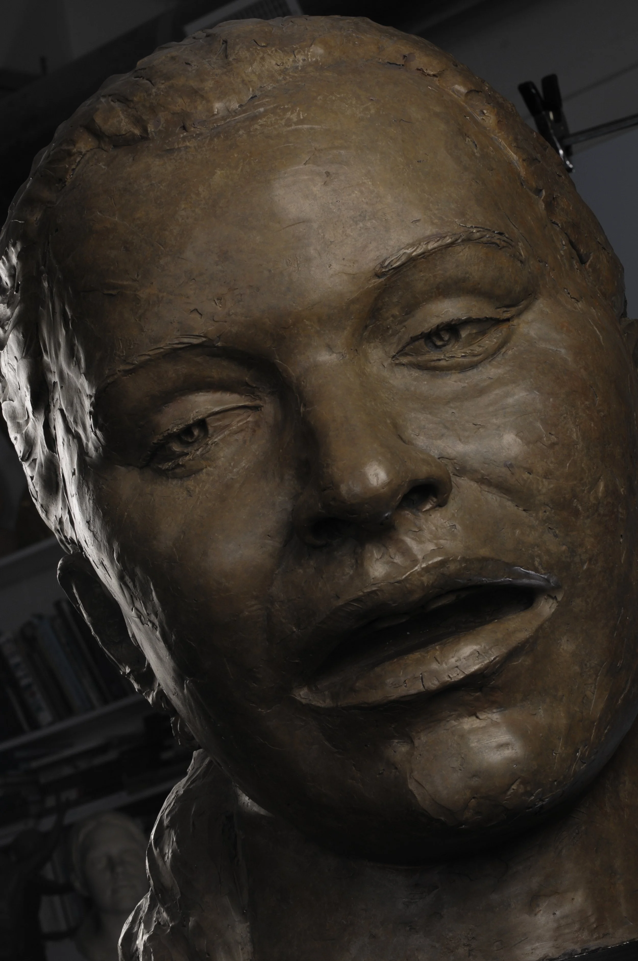 Close-up of a bronze or metal sculpture of a face with detailed facial features and expressive eyes.  Cultural Heroes