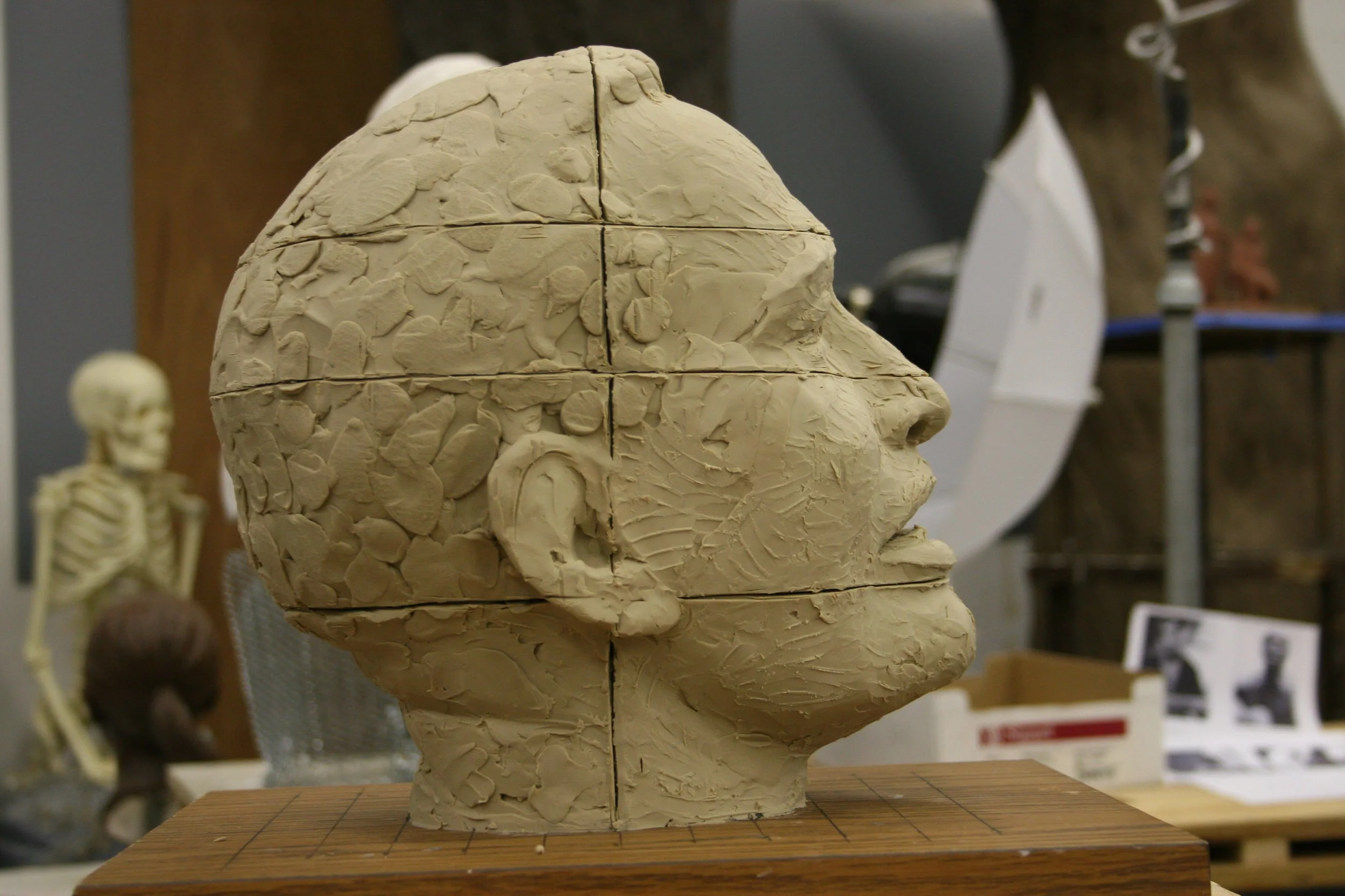 Sculpture of a human head in progress with multiple sections, displayed on a wooden base in a workshop surrounded by tools and skeleton models.
