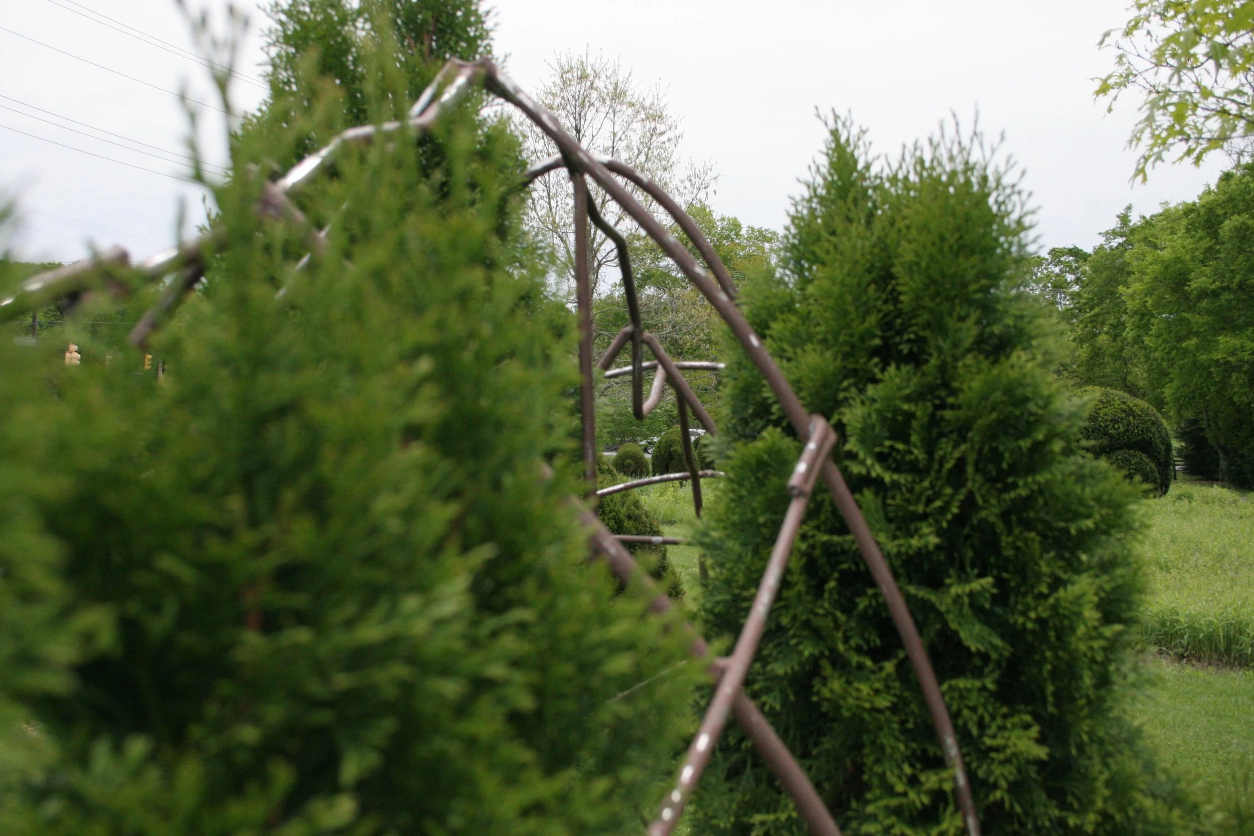 IMG_1626 (1).JPG