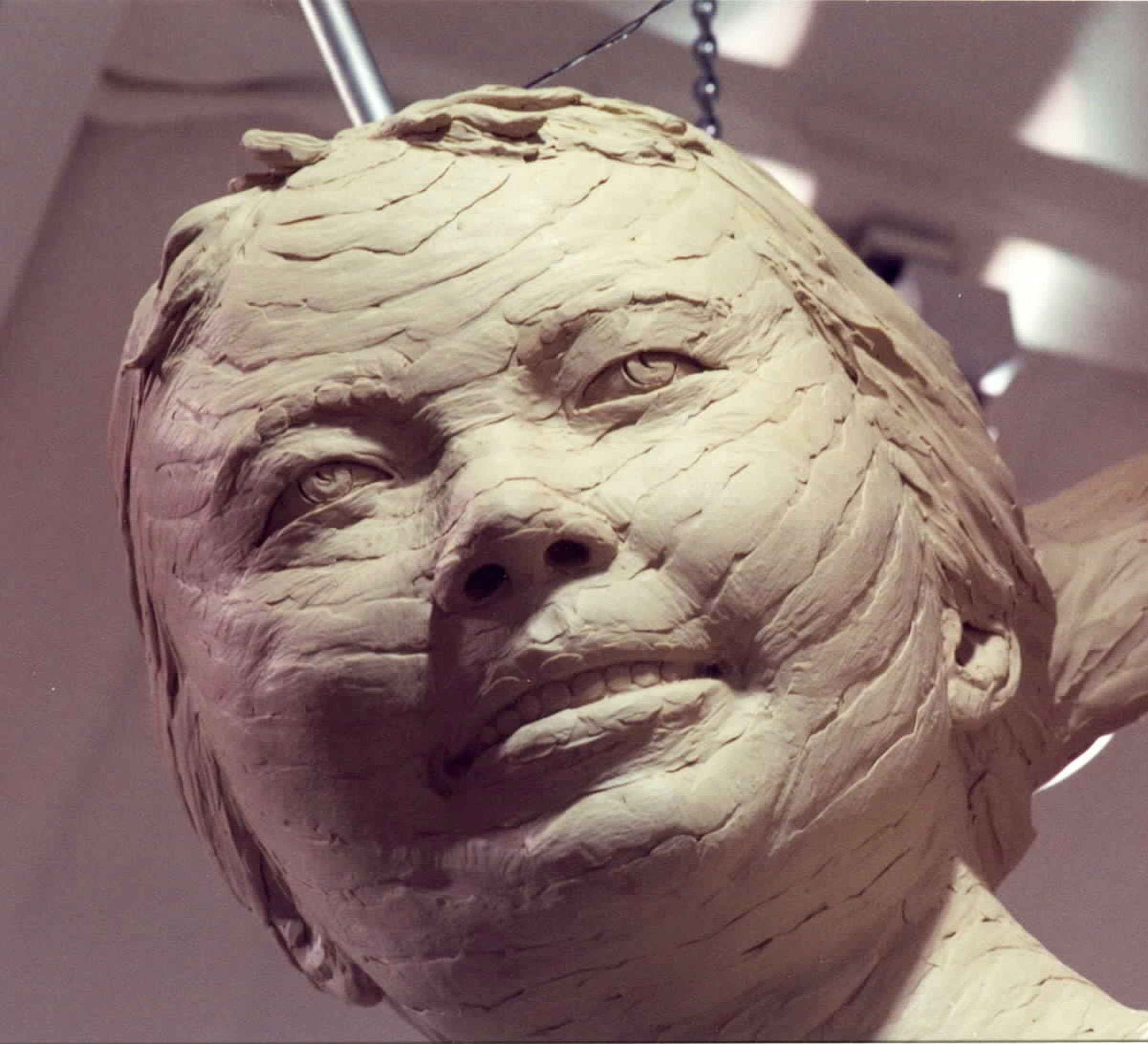 Fig 4 face.jpg