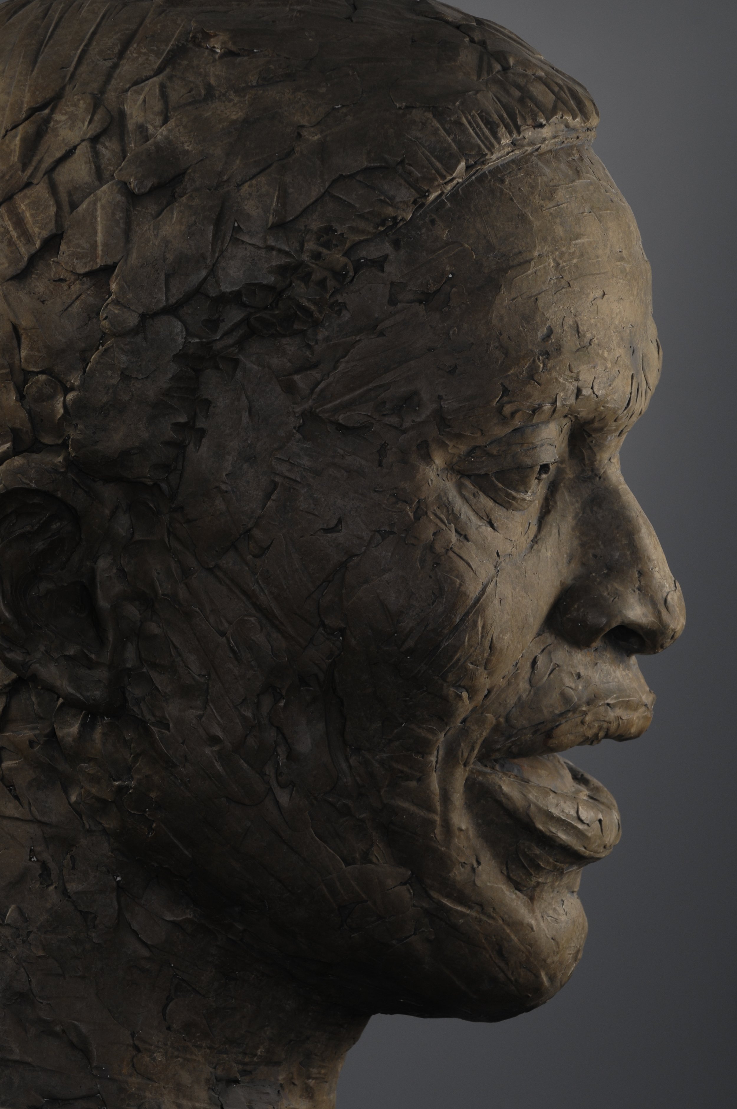 Close-up of a bronze sculpture of a human face in profile view showing detailed features and textured surface.  Cultural Heroes