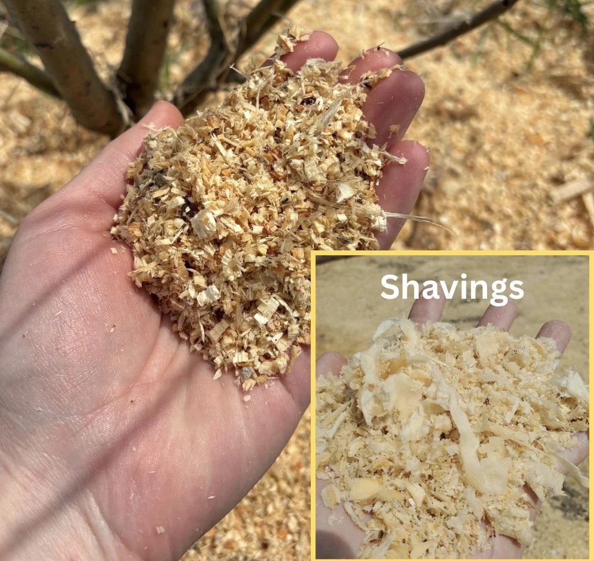 Sawdust is a finer product while shavings are made up of bigger wood chips