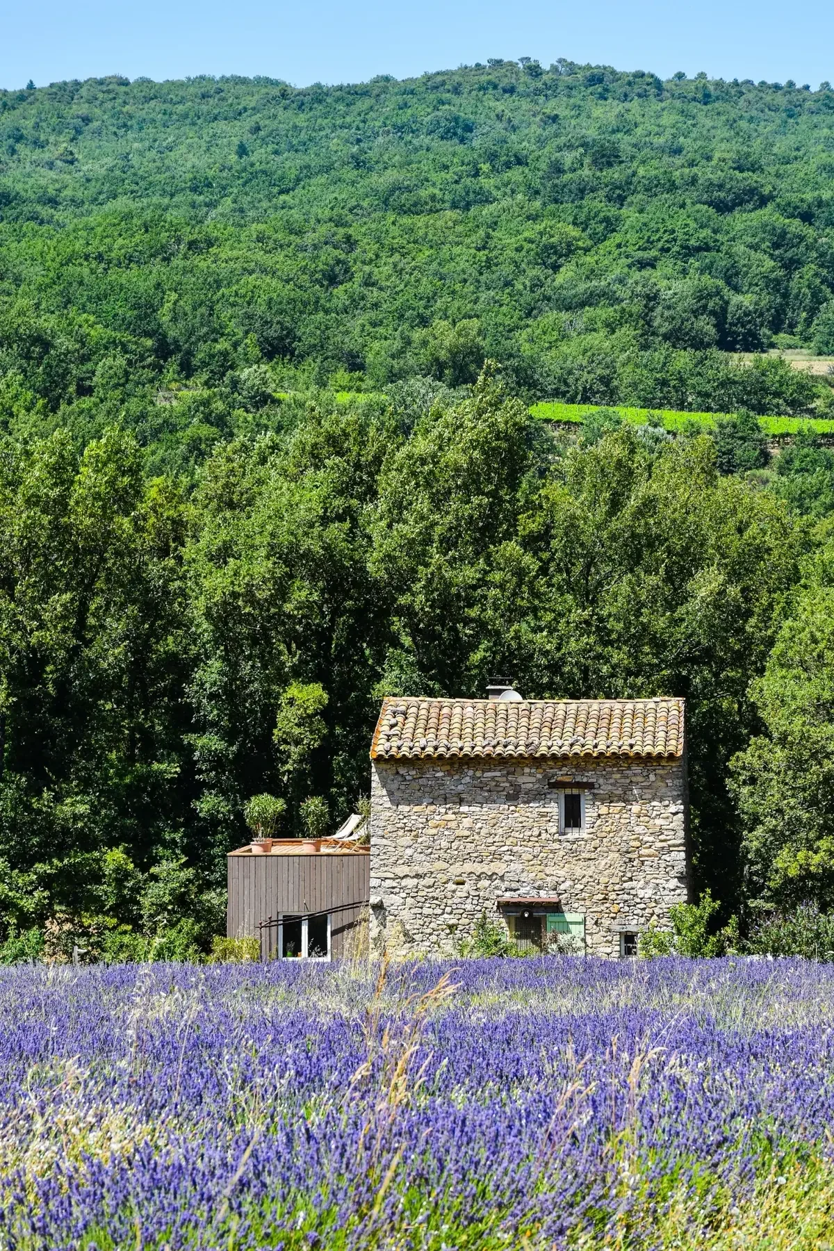 Photographie d'une maison traditionnelle en pierre, entourée de lavandes et de végétation, illustrant le cadre de vie recherché par les personnes souhaitant s'installer en Provence.