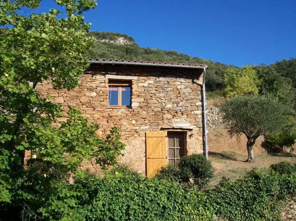 Maison ancienne en pierre entourée de végétation, illustrant le choix de conserver, louer ou vendre une maison héritée.
