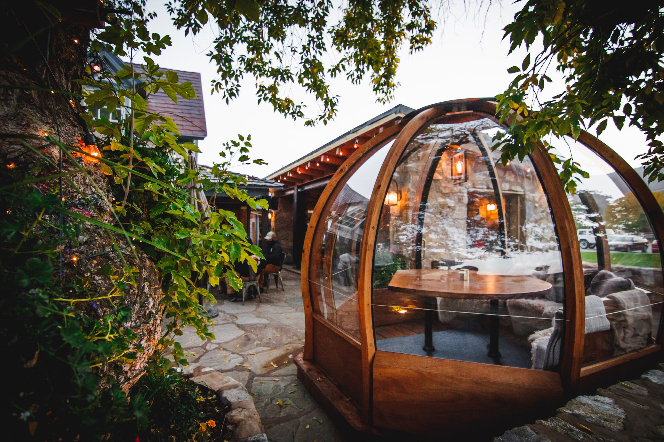 alpenglobe-dining-globes-midway-utah.jpg