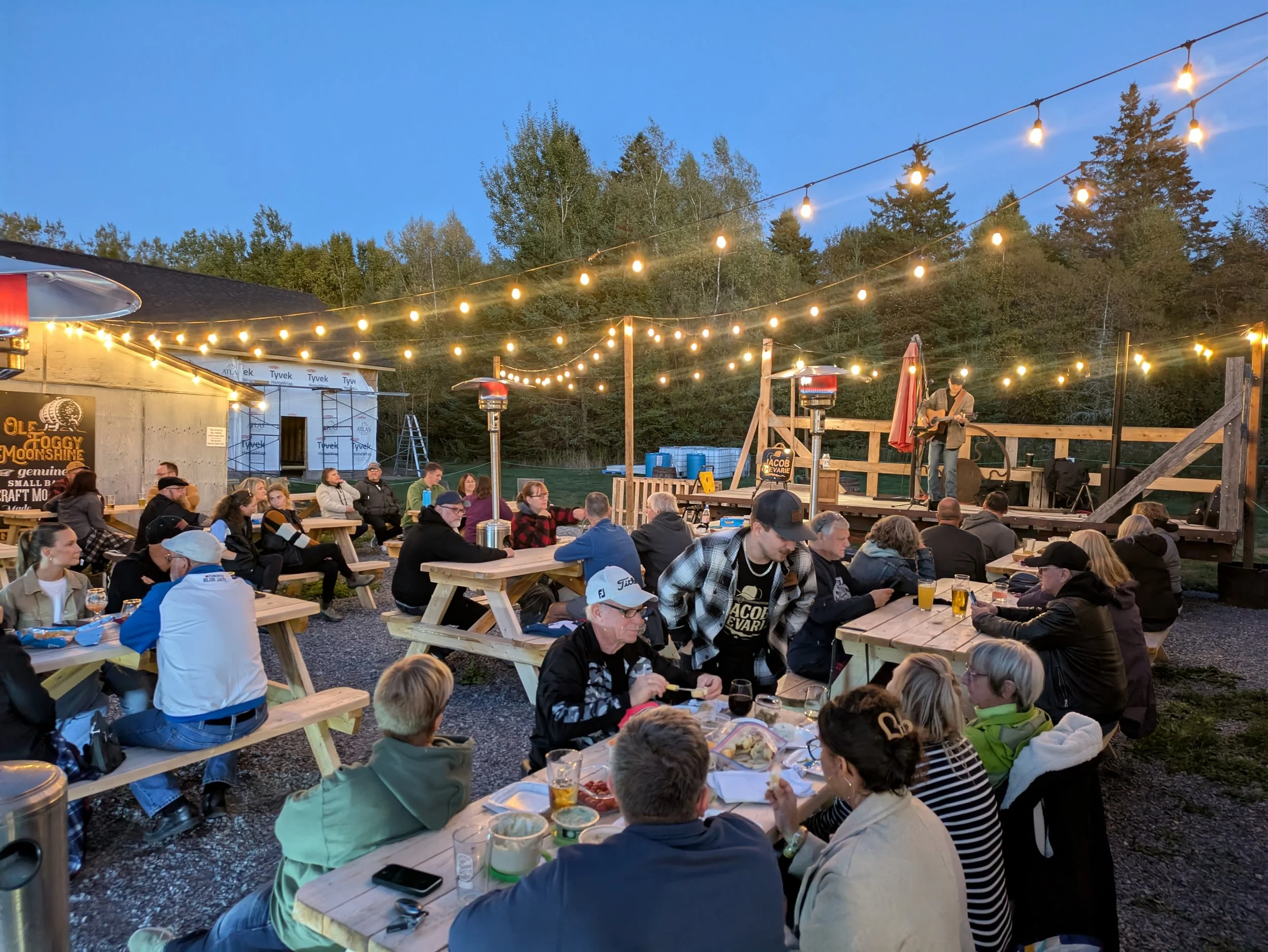 Outdoor live music event with string lights hanging overhead, people sitting at picnic tables, and a musician playing guitar on a stage at dusk.