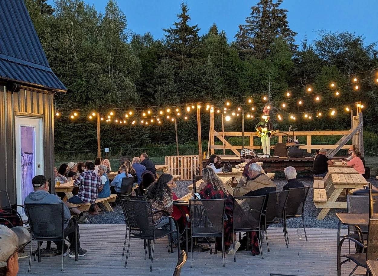 Outdoor outdoor concert at dusk with string lights, a small stage, a musician playing guitar and singing, and audience seated at picnic tables and chairs in a natural setting with trees in the background.