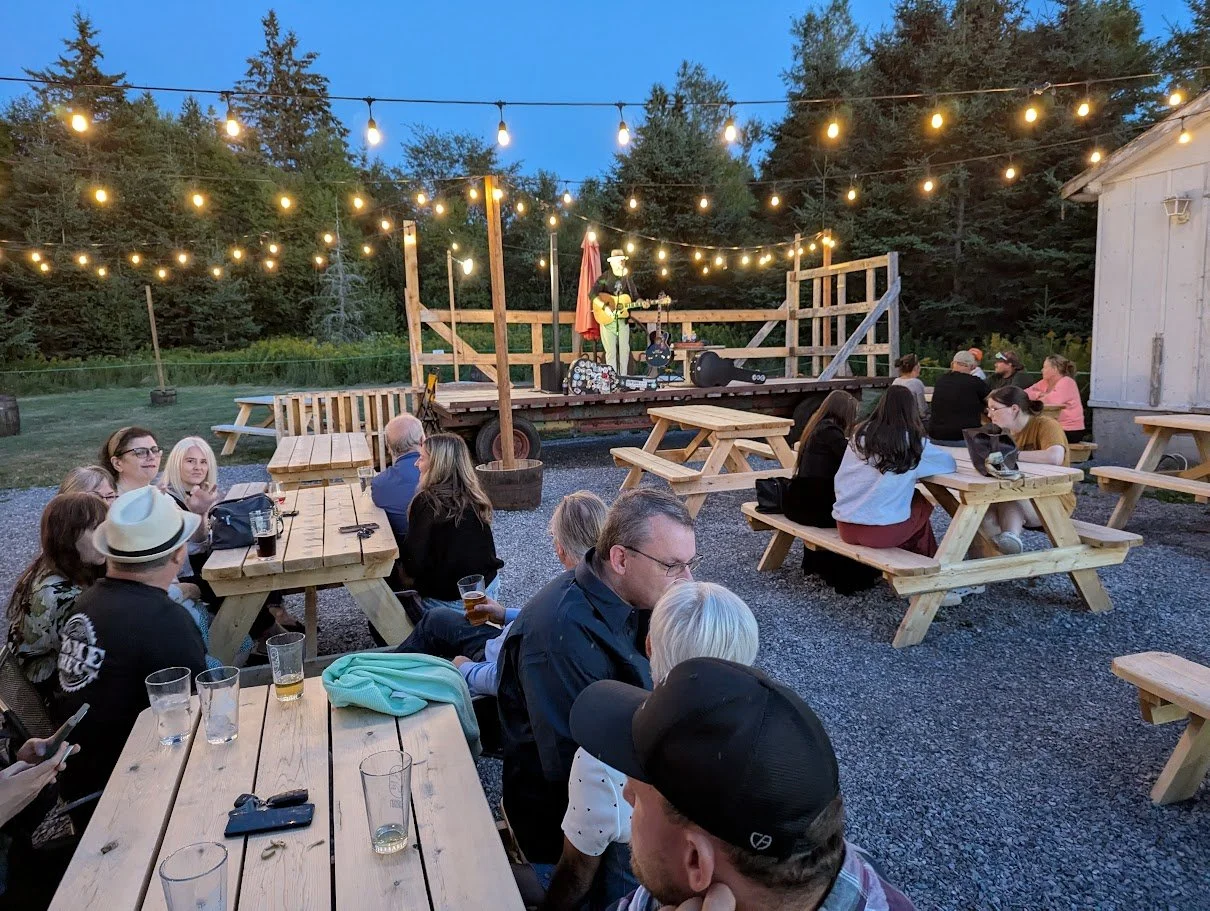 Outdoor concert with a musician playing guitar on a small stage decorated with string lights, audience sitting at picnic tables, trees in background at dusk.