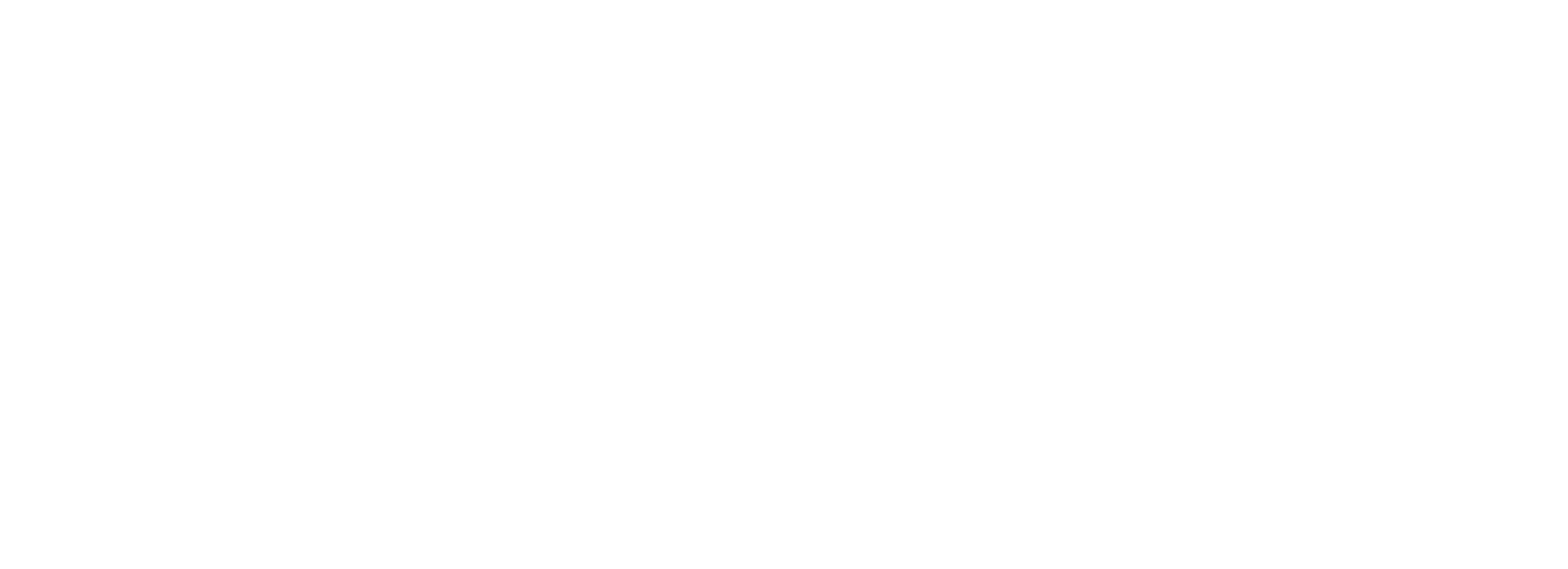 Penny Castle Press