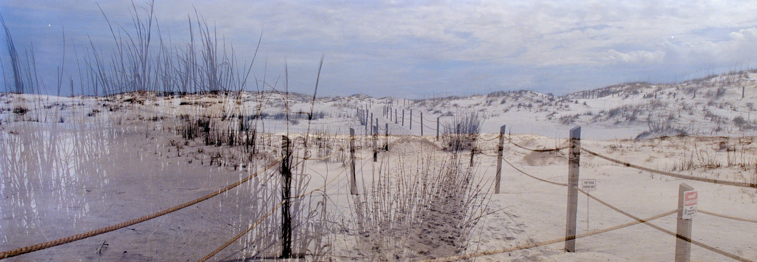 DSC01205.jpg