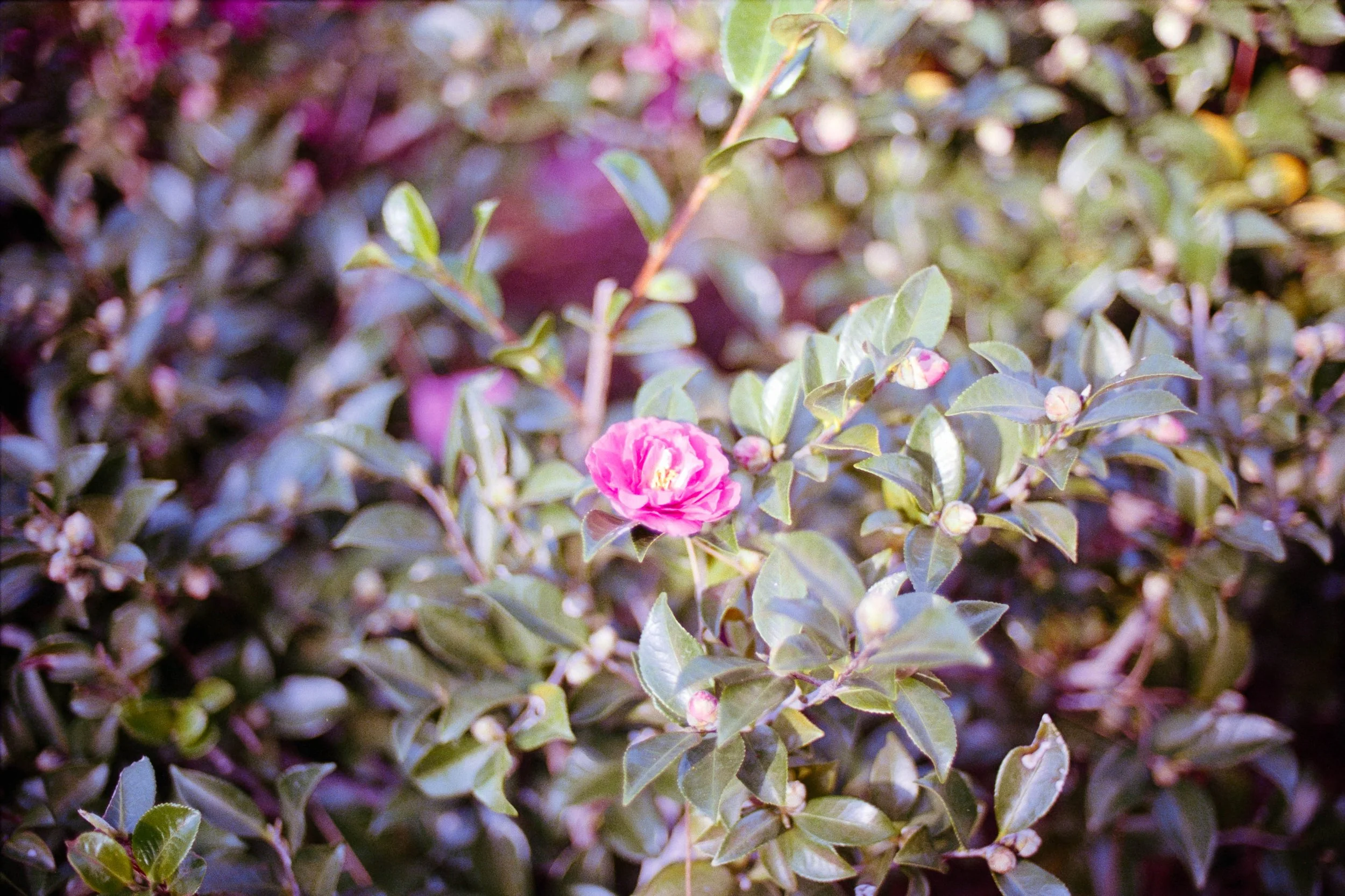 DSC00412.jpg