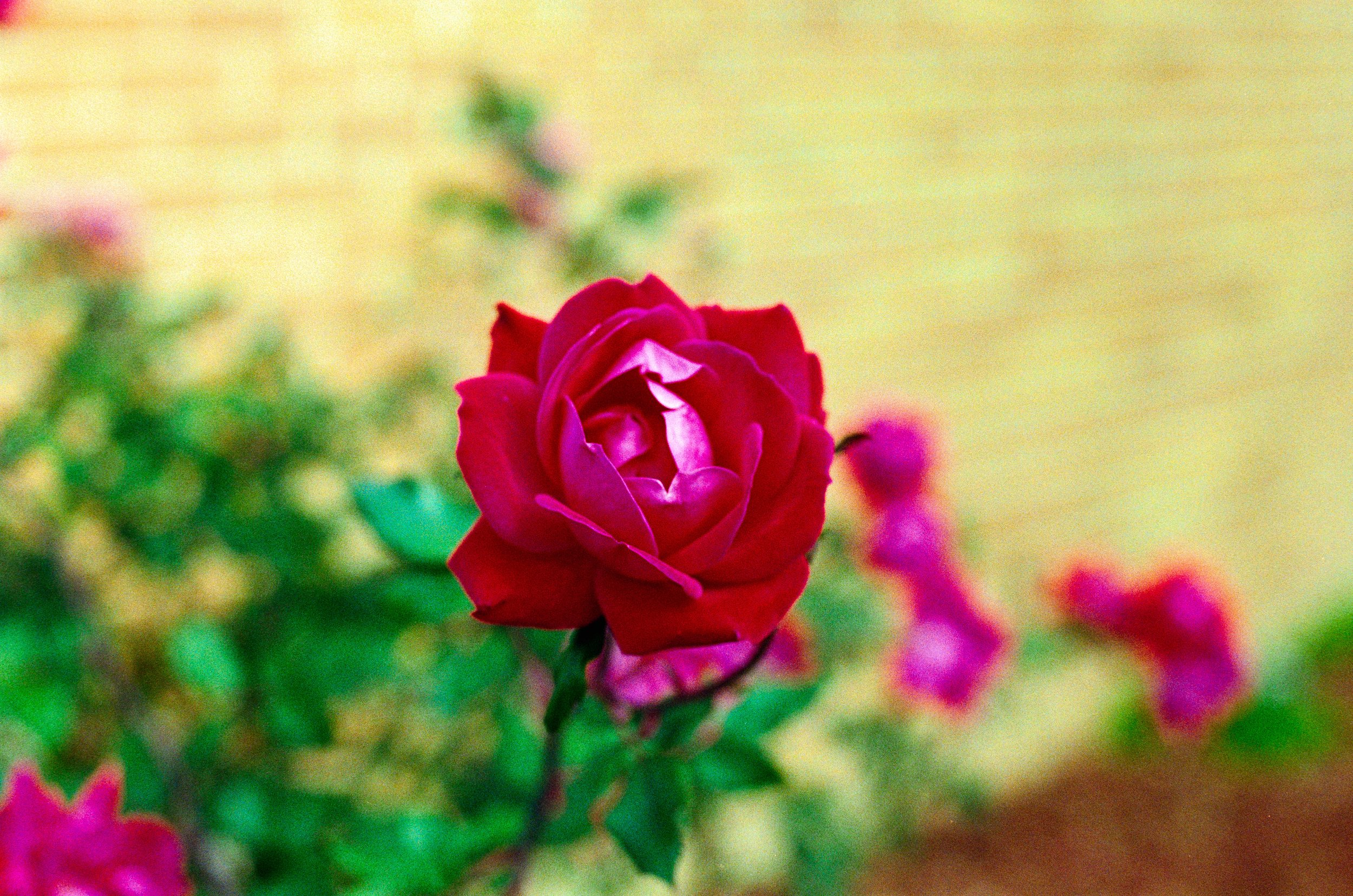 DSC01173.jpg