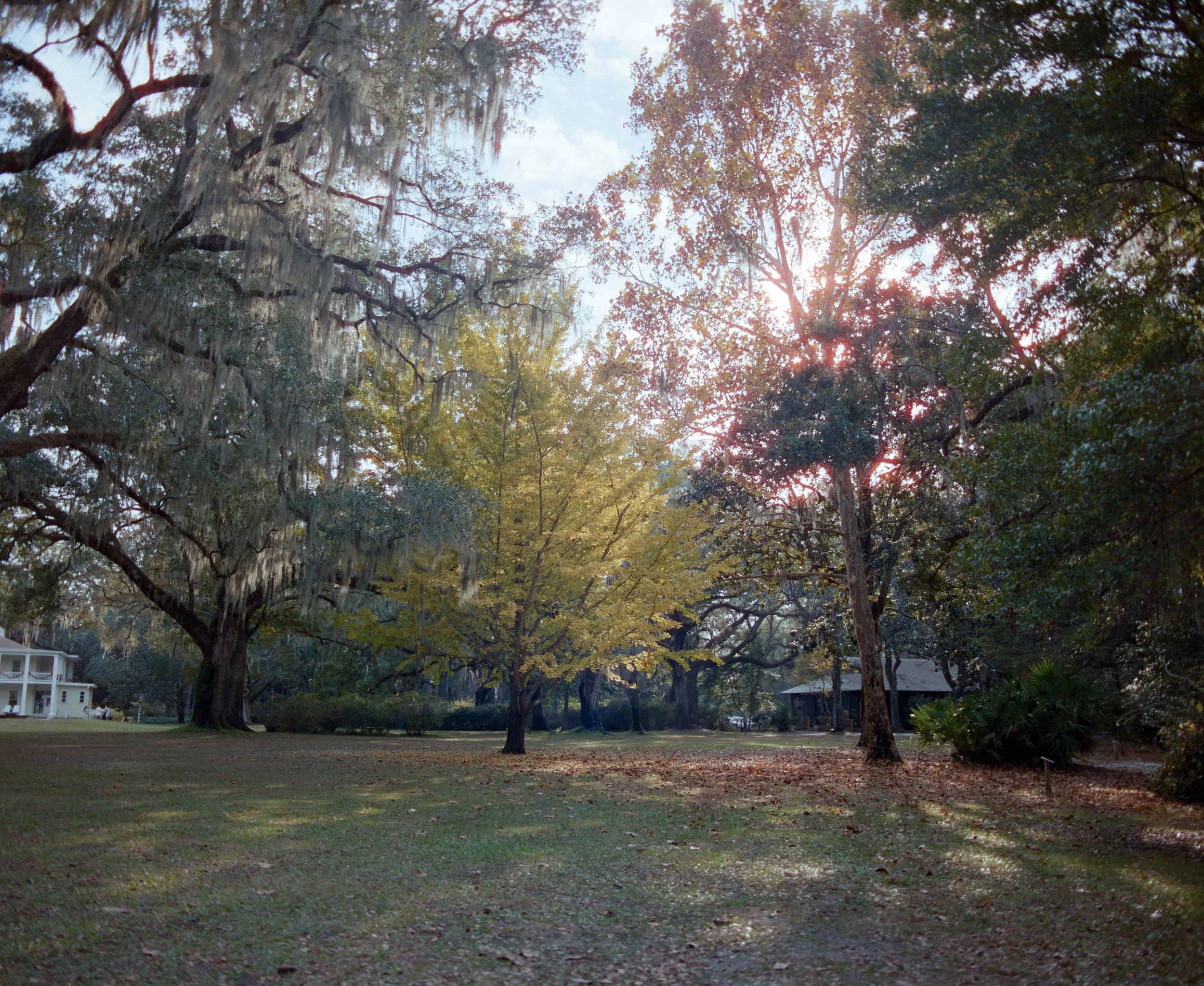 DSC00386.jpg