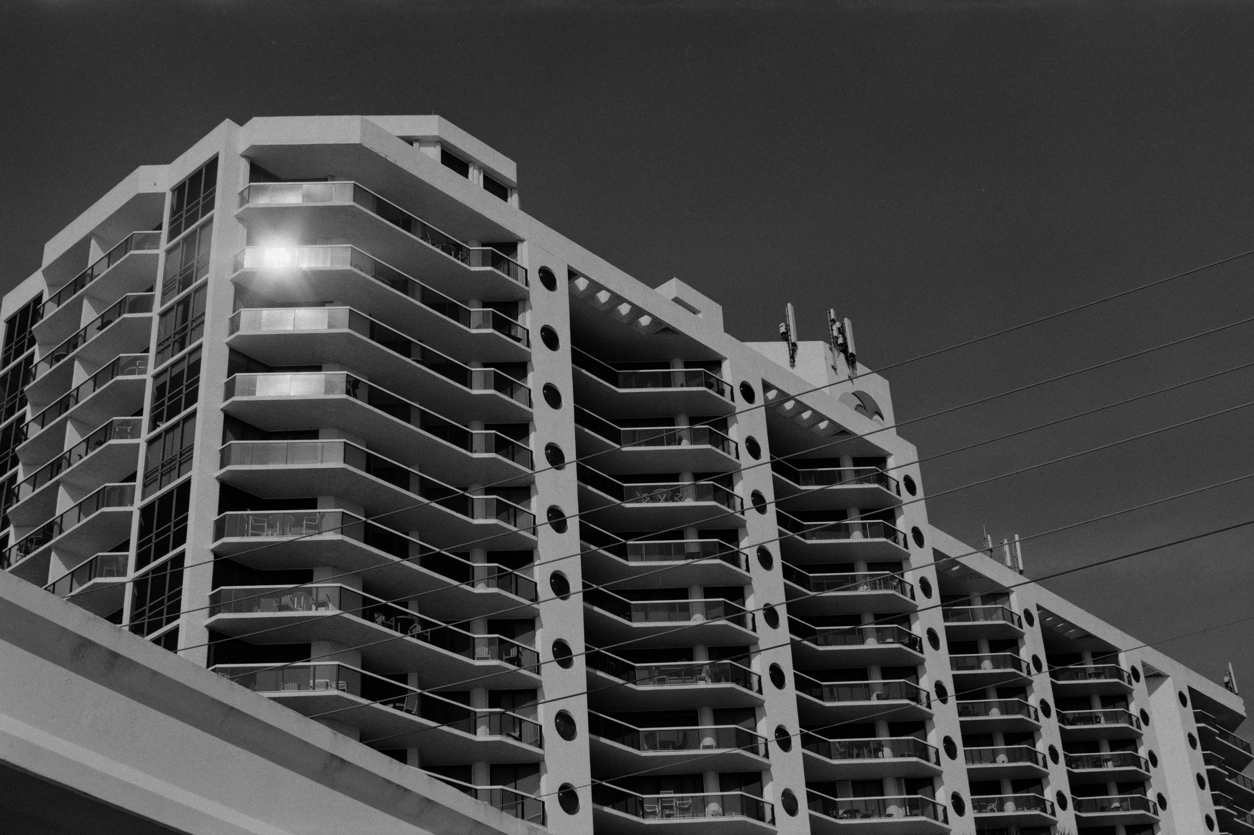 DSC01155.jpg
