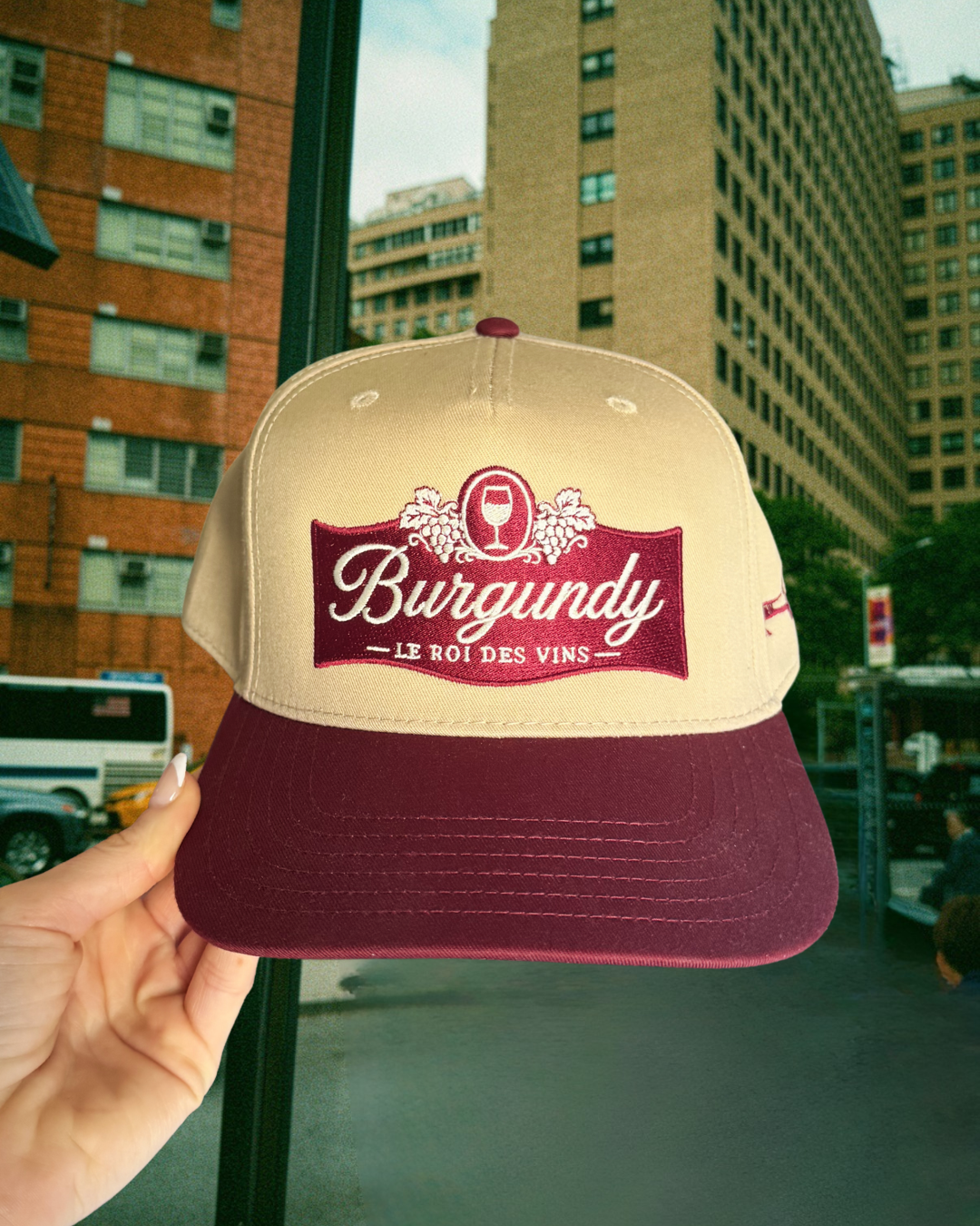 Burgundy — “Les Roi des Vins”