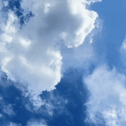 giphy-downsized-medium.gif