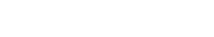 Dolce Vita logo in white, with transparent background