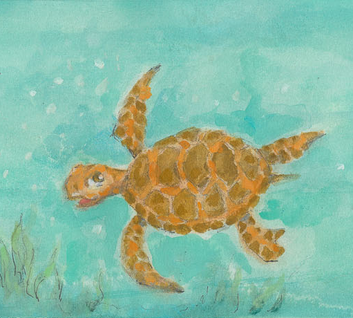 South Carolina Lowcountry Facts