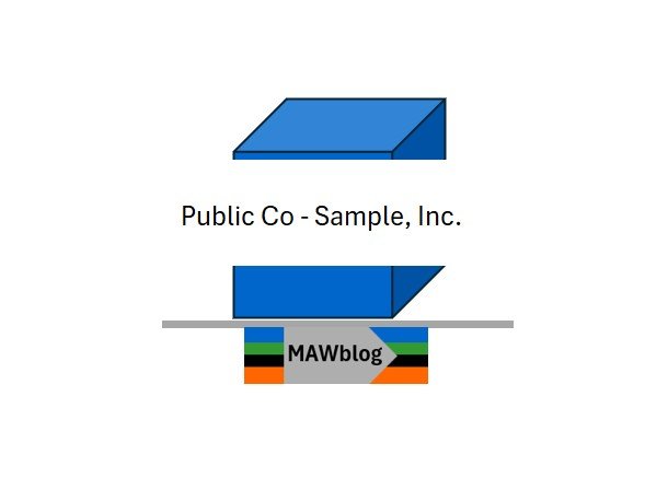 3- Public Company Sample