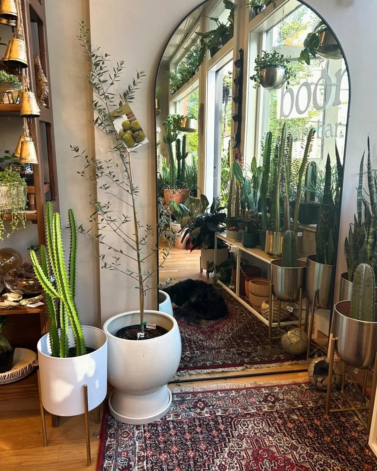 Boon Plant Bar