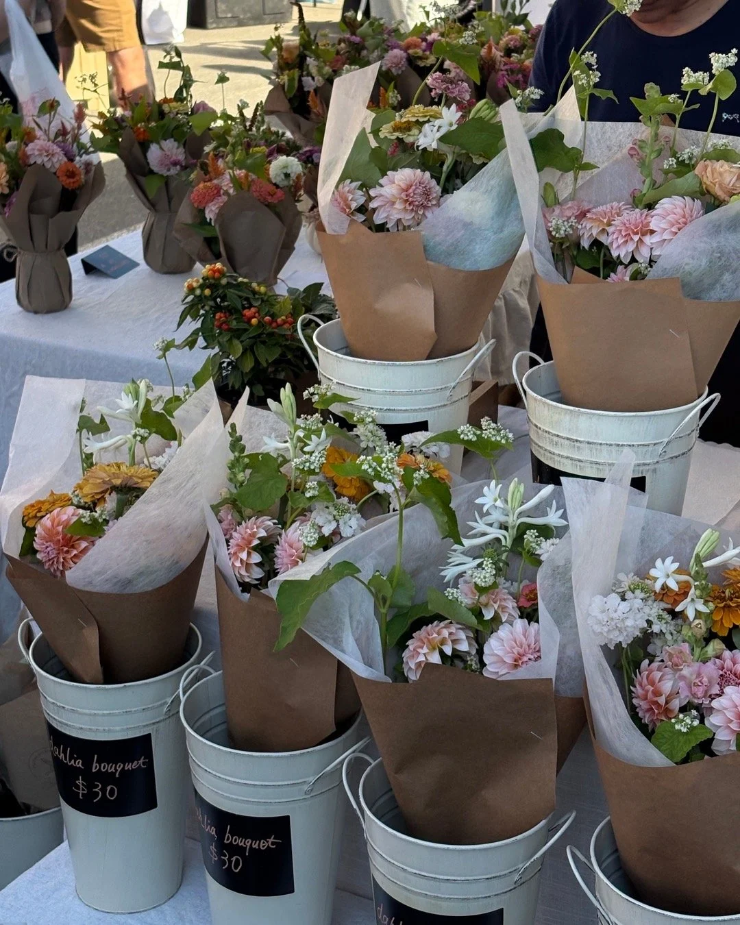 Buzzing Backyard Flower Garden