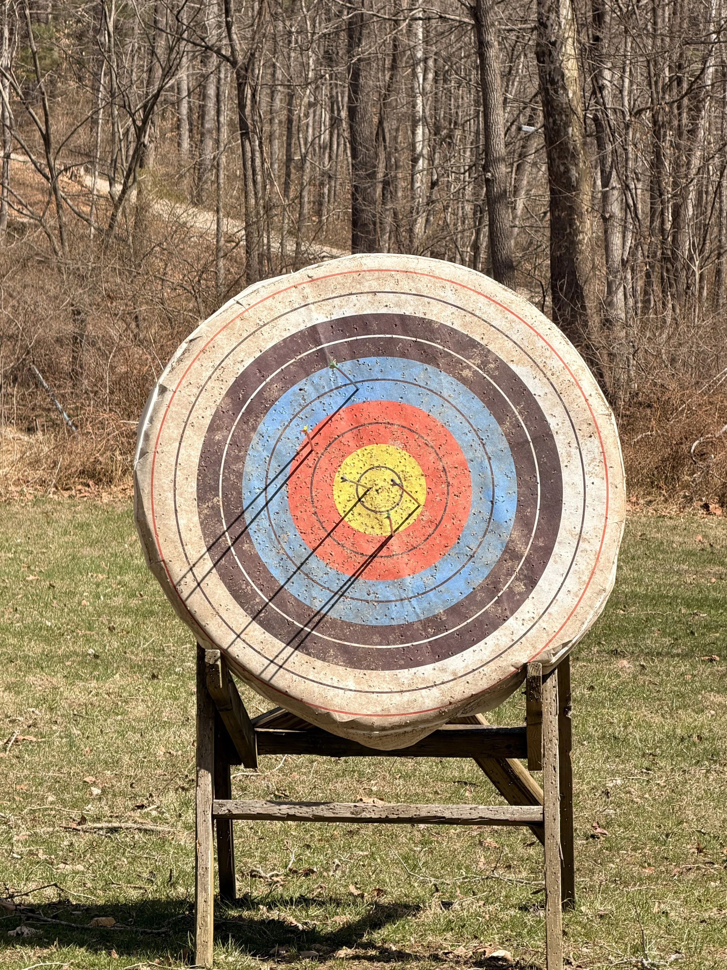 Archery target with five arrows stuck in the bullseye, set outdoors on a stand with grass and trees in the background.
