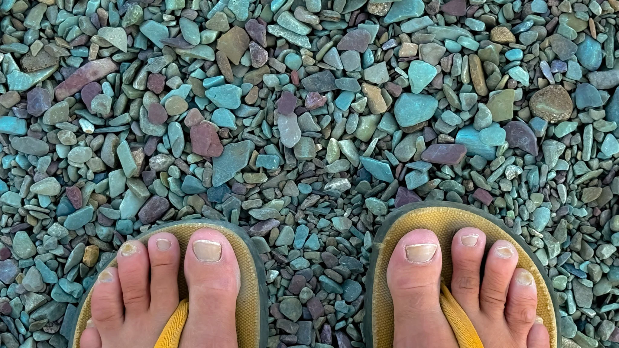 The 6Cs That Brought Me Home To Myself