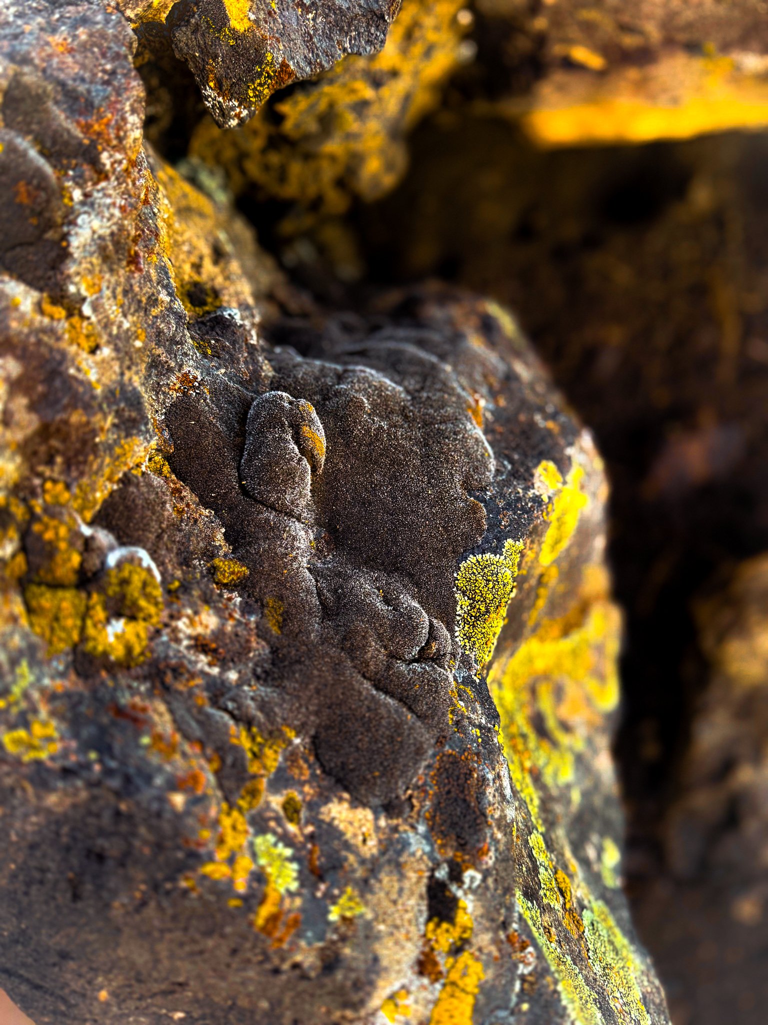 Craters National Monument, lava fields play