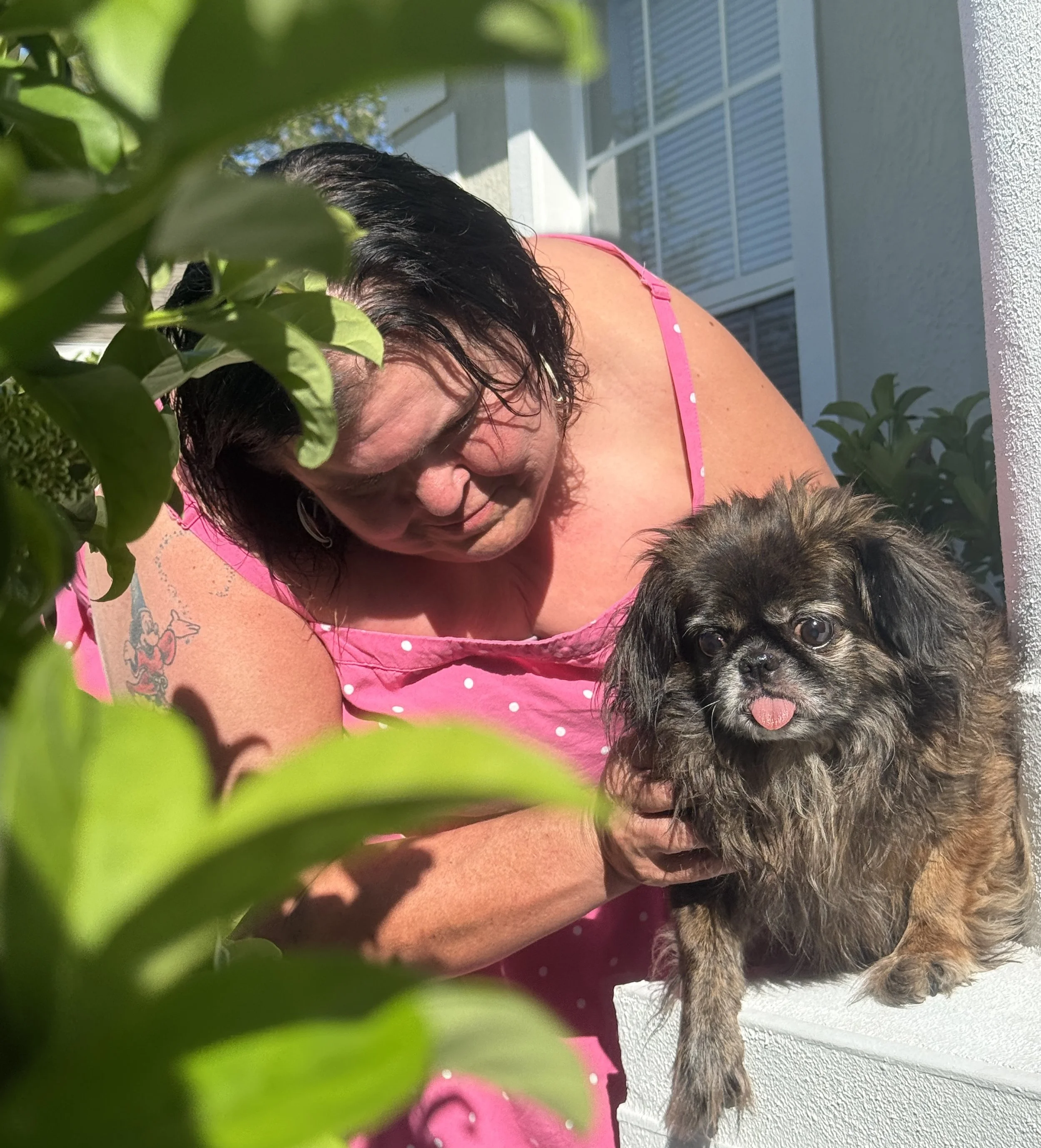 A woman with dark hair, wearing a pink polka dot dress, holds a small, long-haired dog with a tongue out outdoors near a building with green plants nearby.