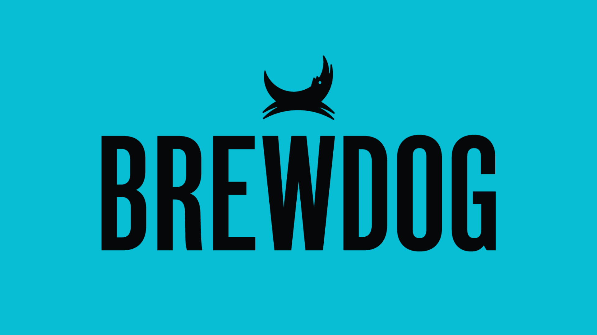 Logo of Brewdog featuring black text on a blue background with a stylized black dog illustration above the text.