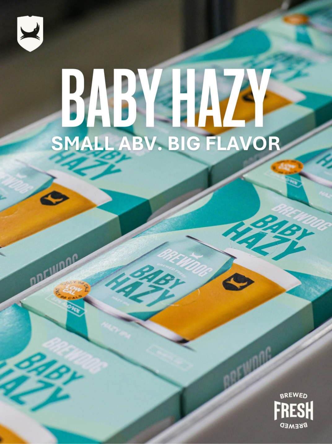 Multiple boxes of Brewdog Baby Hazy beer with teal packaging, displaying a can with a hazy beer and a black dog logo, along with text indicating it's brewed and fresh.