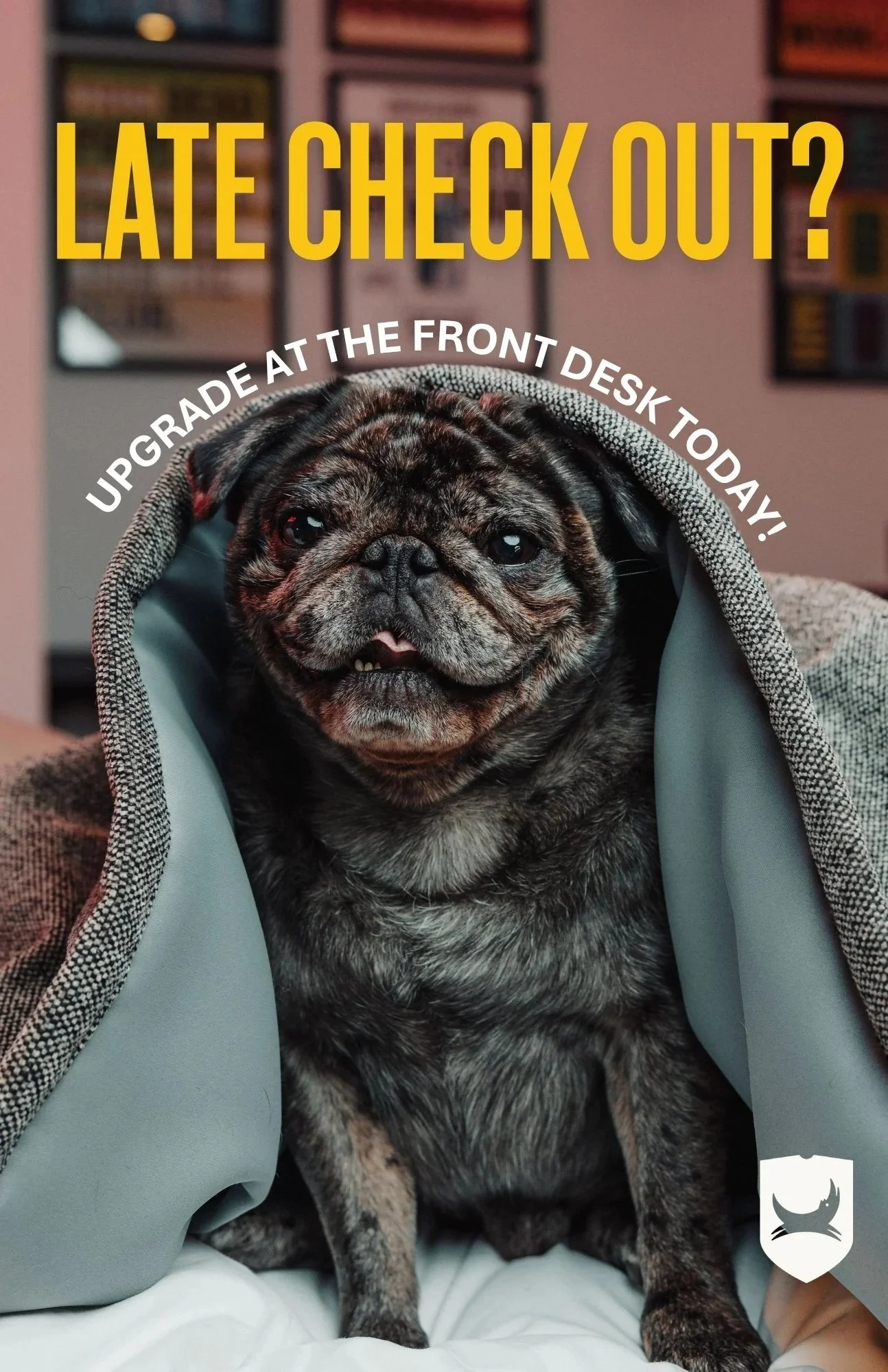 A brindle French bulldog puppy sitting on a bed inside a gray and white hoodie, with a blurred background of a wall with framed pictures and a mirror.