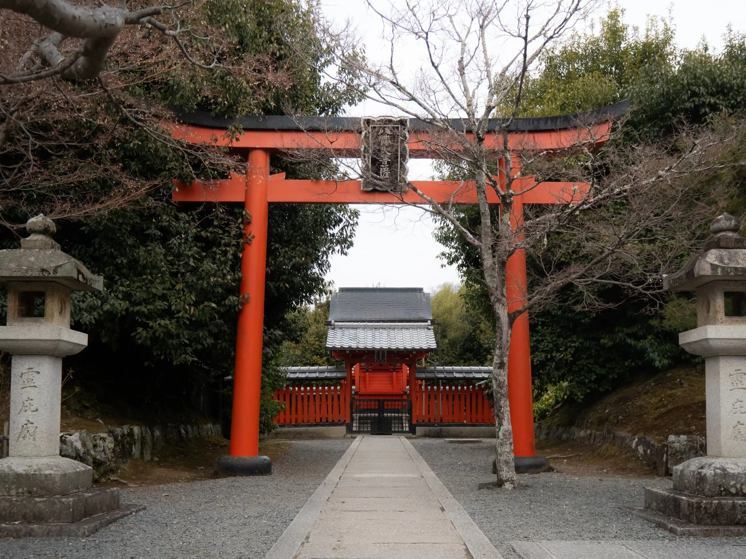 2026 Japan-41.jpg