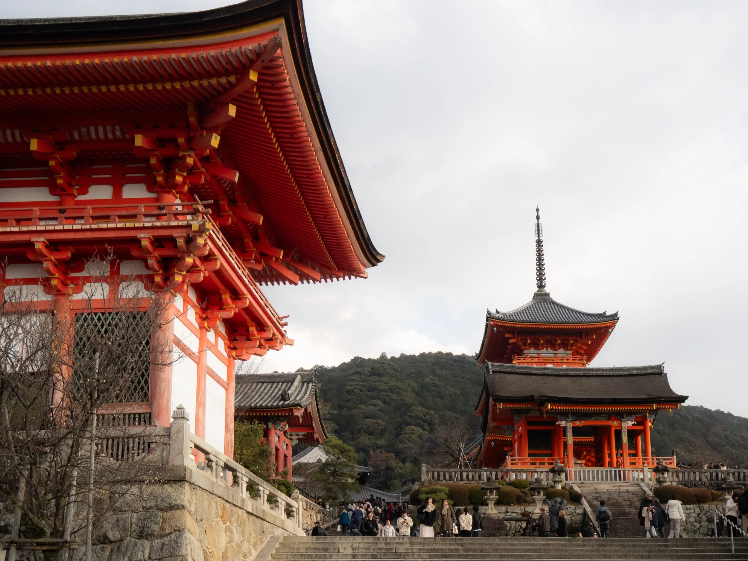 2026 Japan-59.jpg
