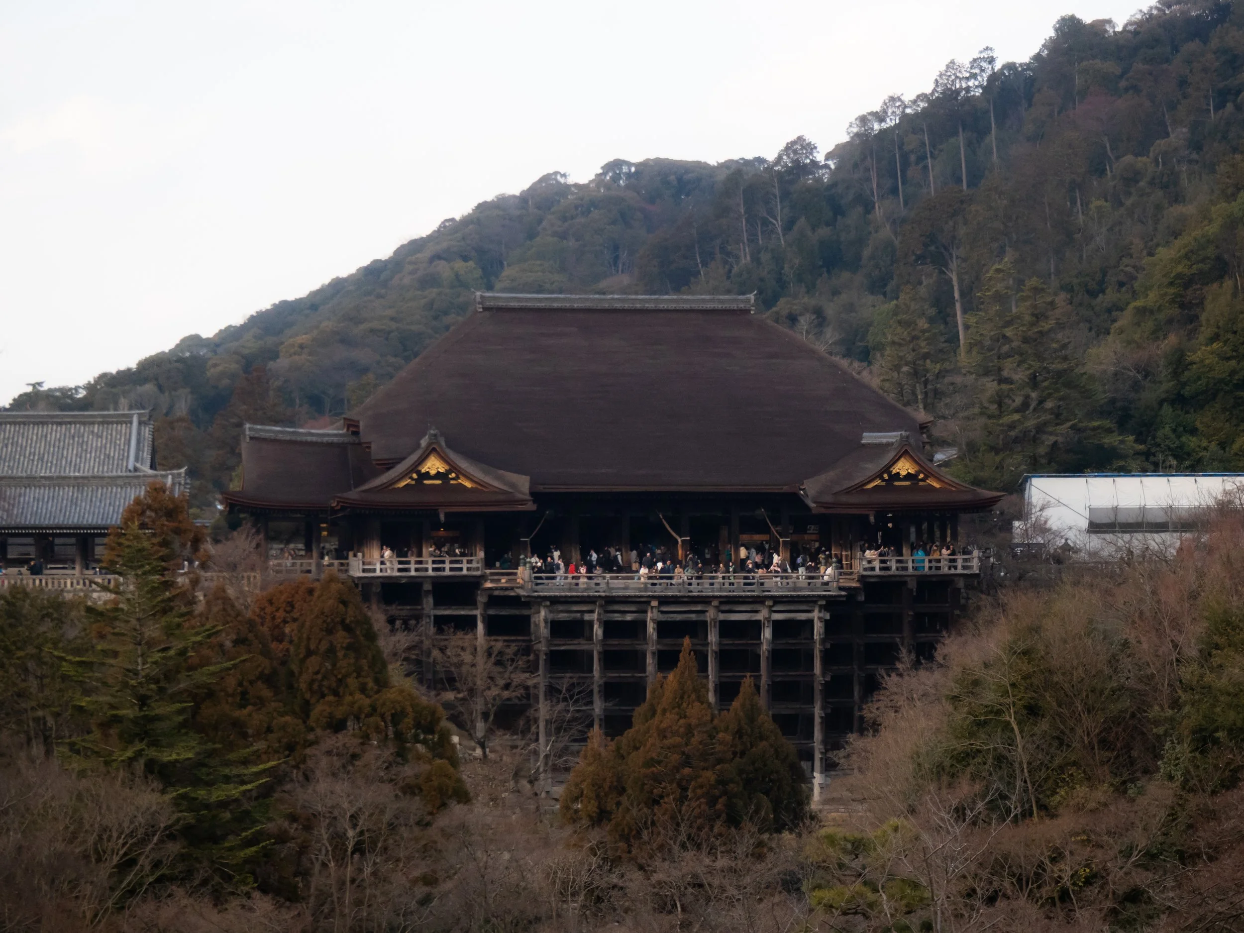 2026 Japan-80.jpg