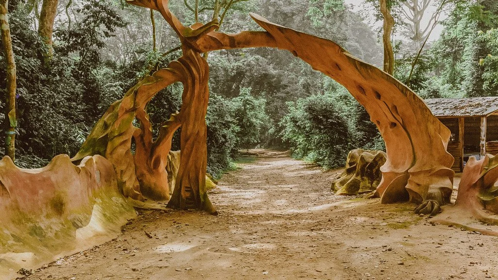 A view of Osun-Osogbo sacred grove| Nigeria
