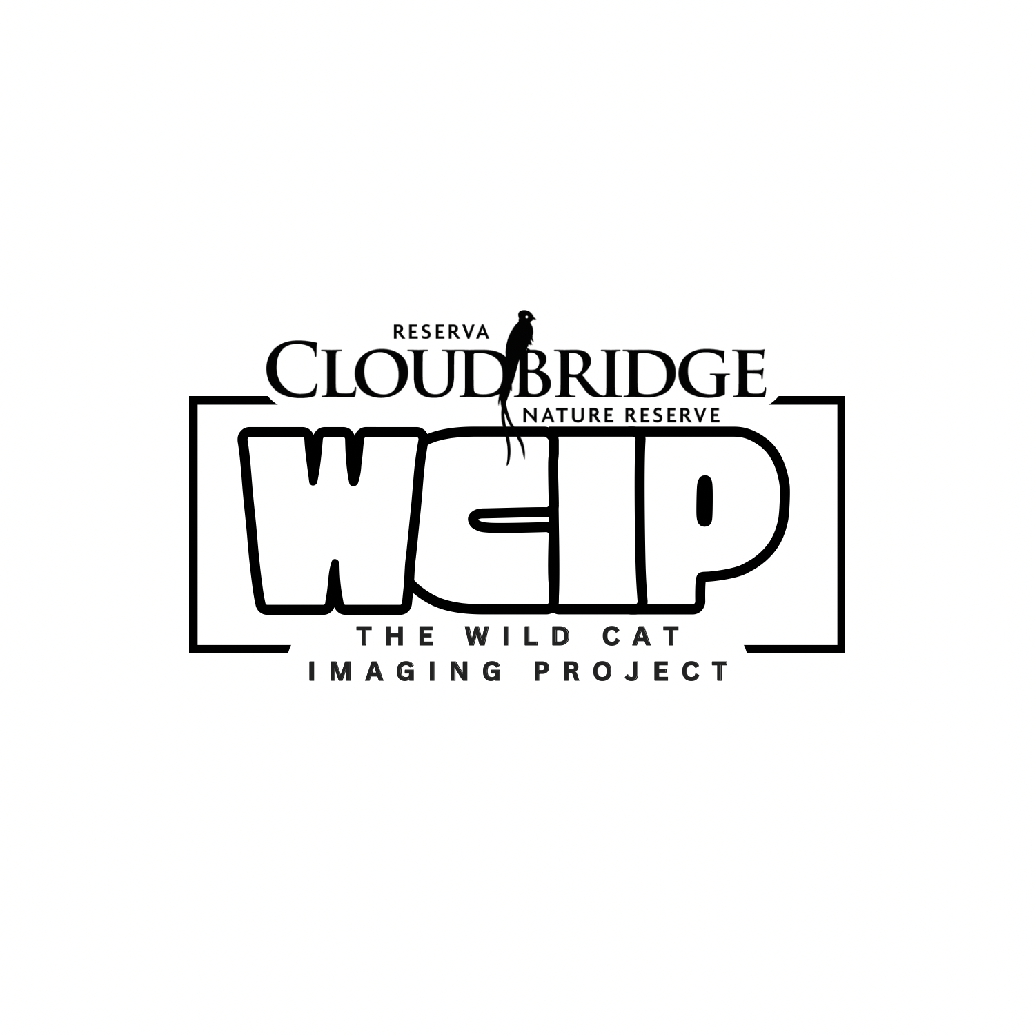 Cloudbridge Nature Reserve