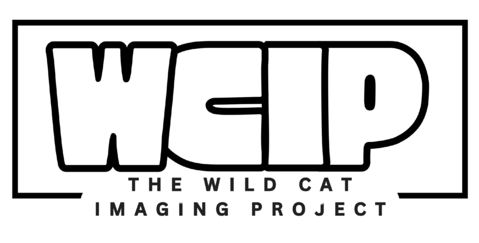 Logo for WCIP, The Wild Cat Imaging Project, with bold stylized letters WCIP and text beneath reading "The Wild Cat Imaging Project."