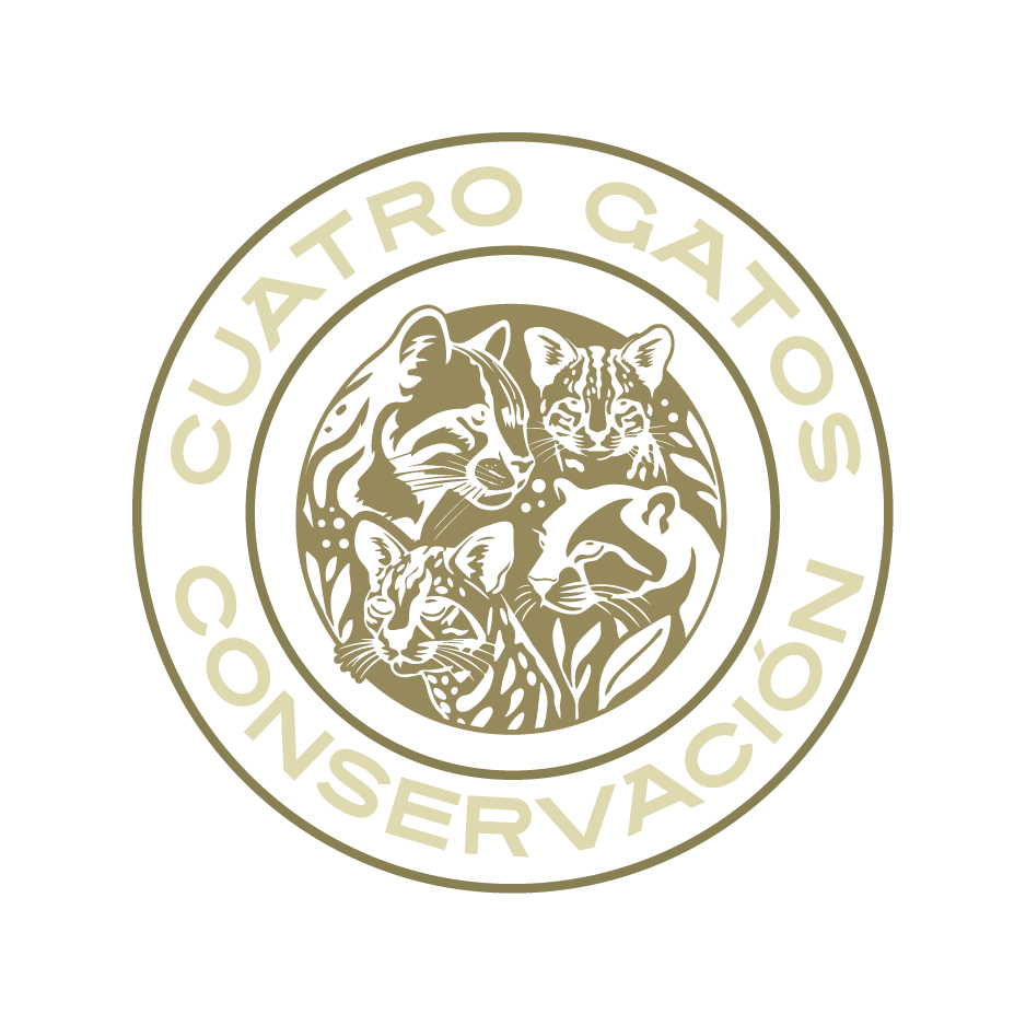 Cuatro Gatos Conservación