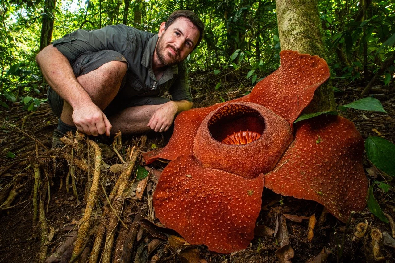 Robin James, The Wild Cat Imaging Project Field Associate based in Brazil