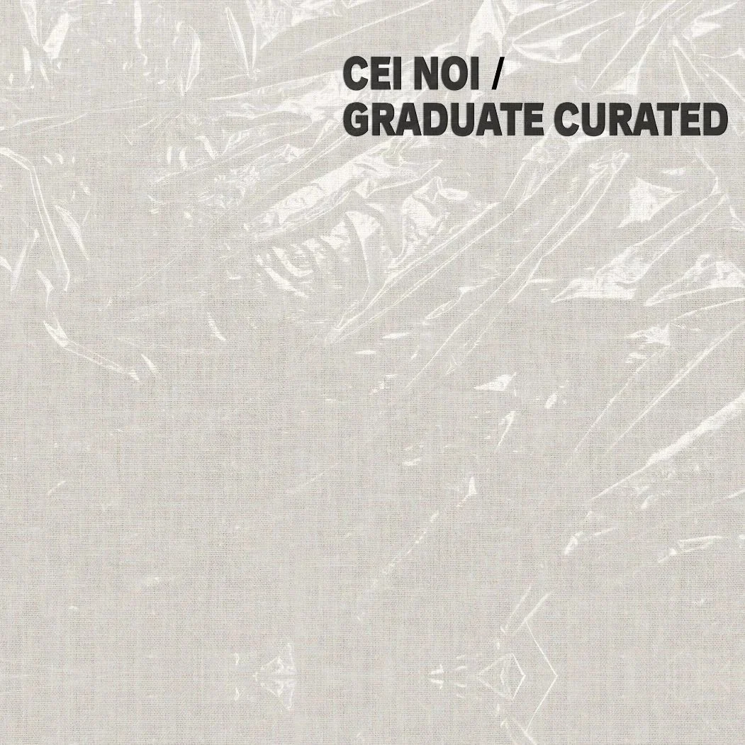 Museum of Contemporary Art Exhibition (MARe)