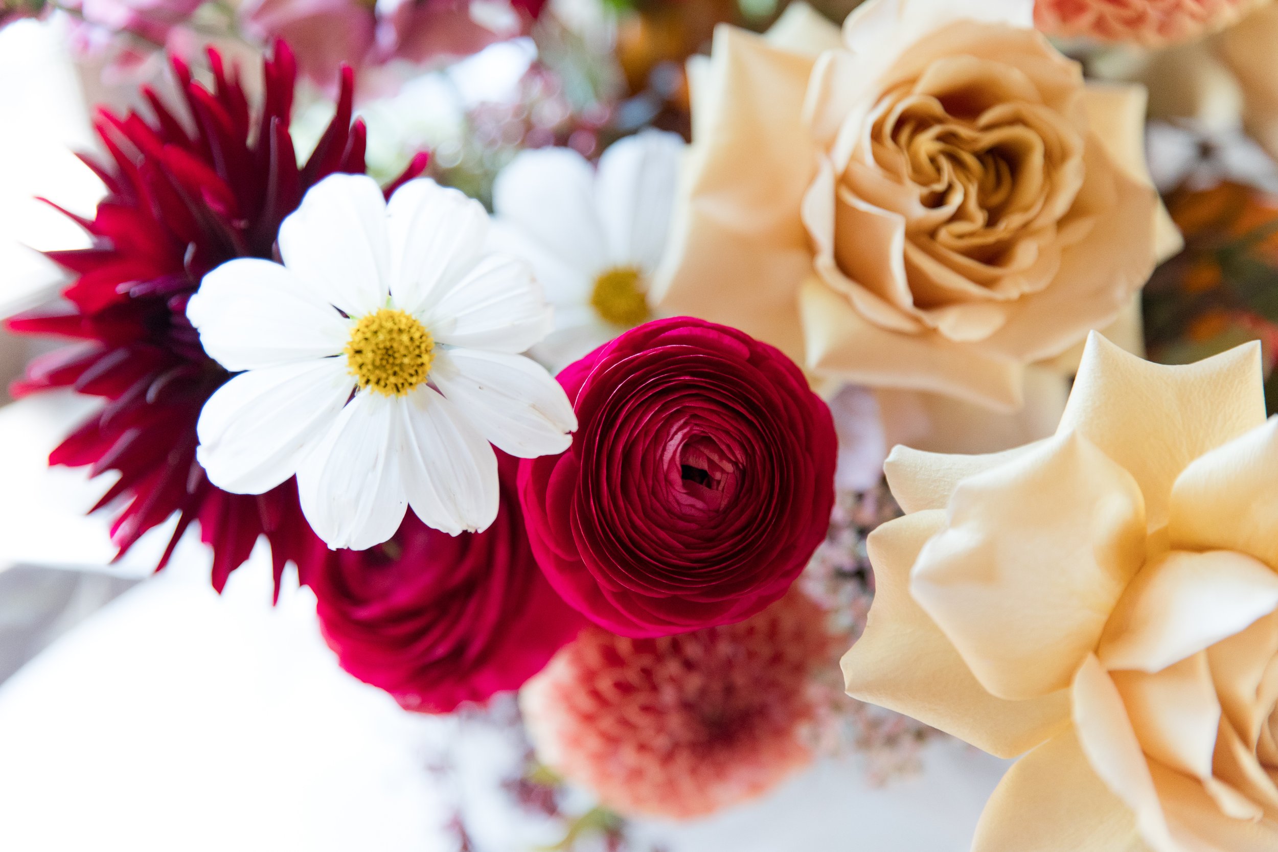 Burgundy ranunculus, white cosmos, toffee colored roses and peach dahlia bouquet.