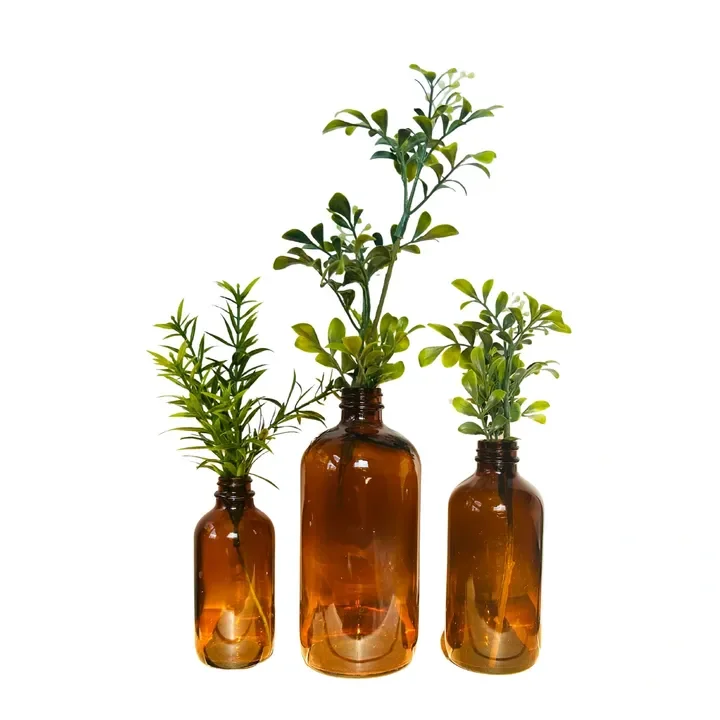 Three amber glass bottles with green leafy plants inside, set against a white background.